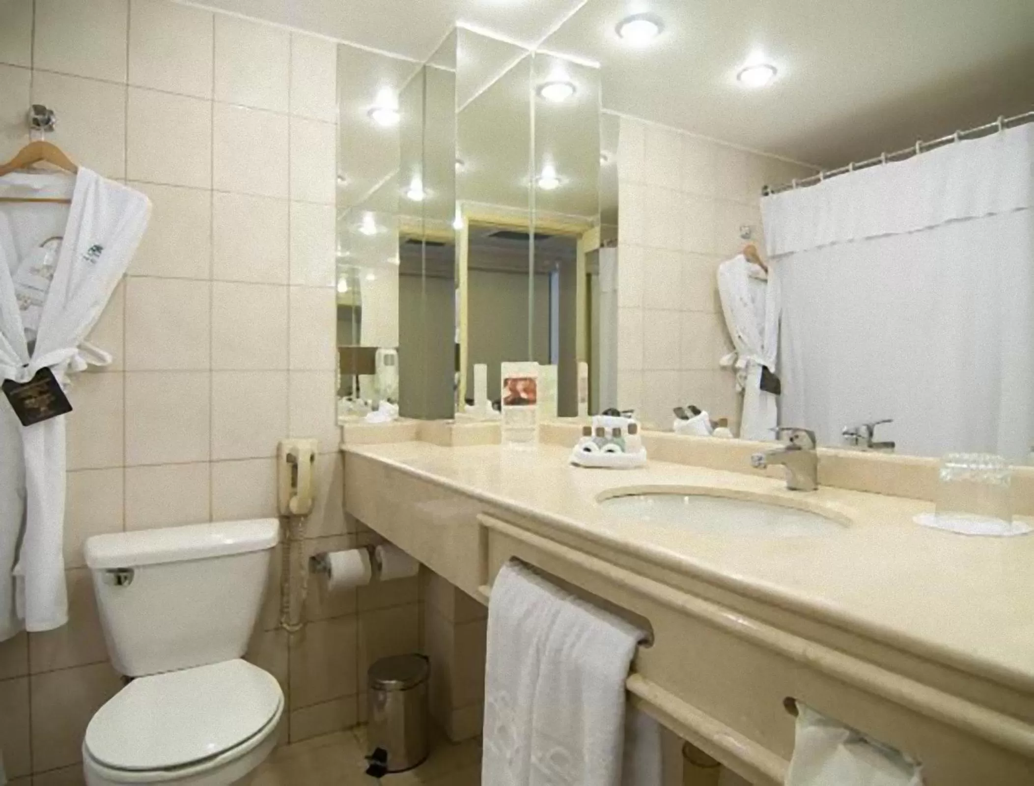 Toilet in Park Plaza Santiago