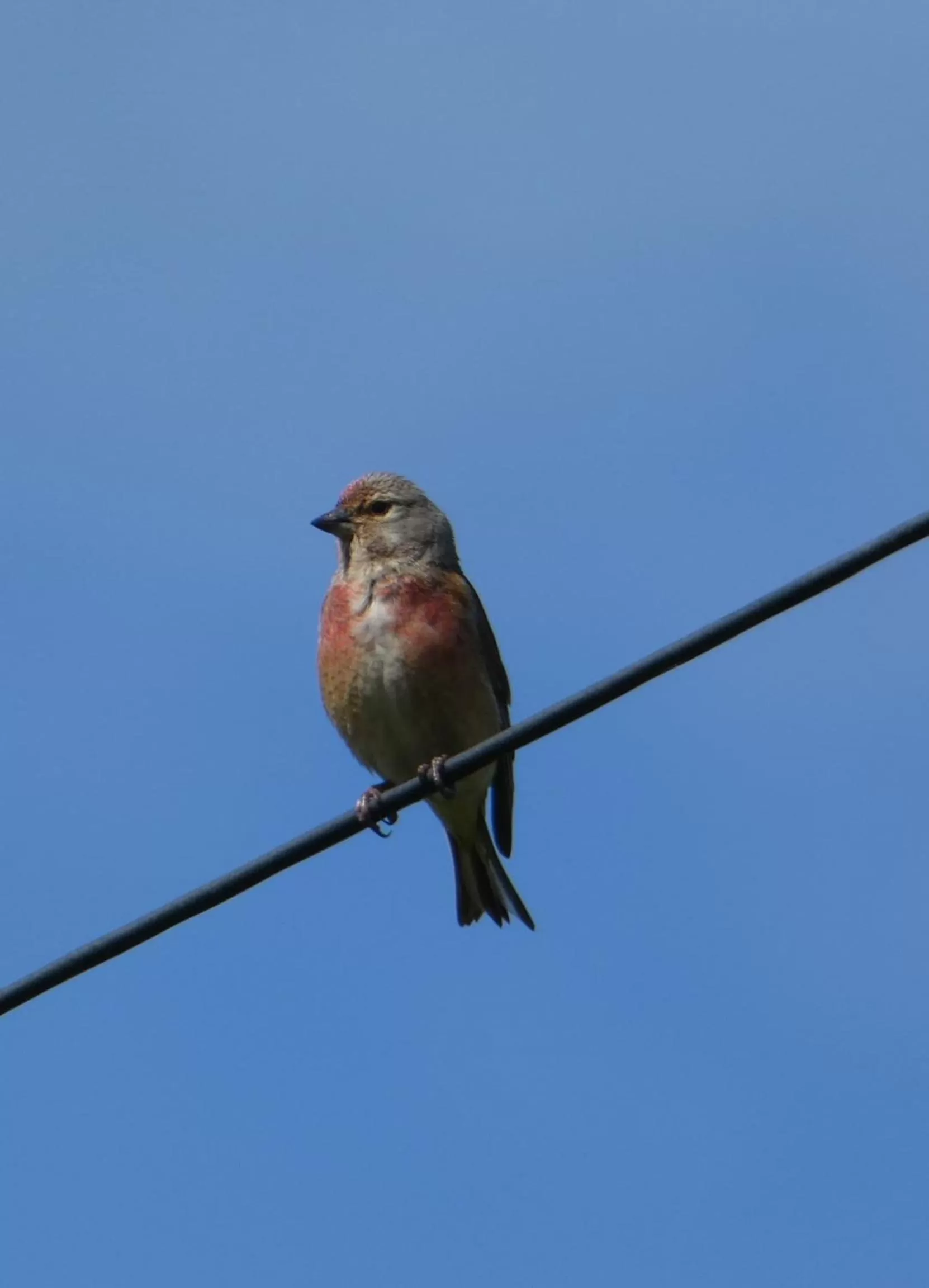Natural landscape in The Sloop Inn