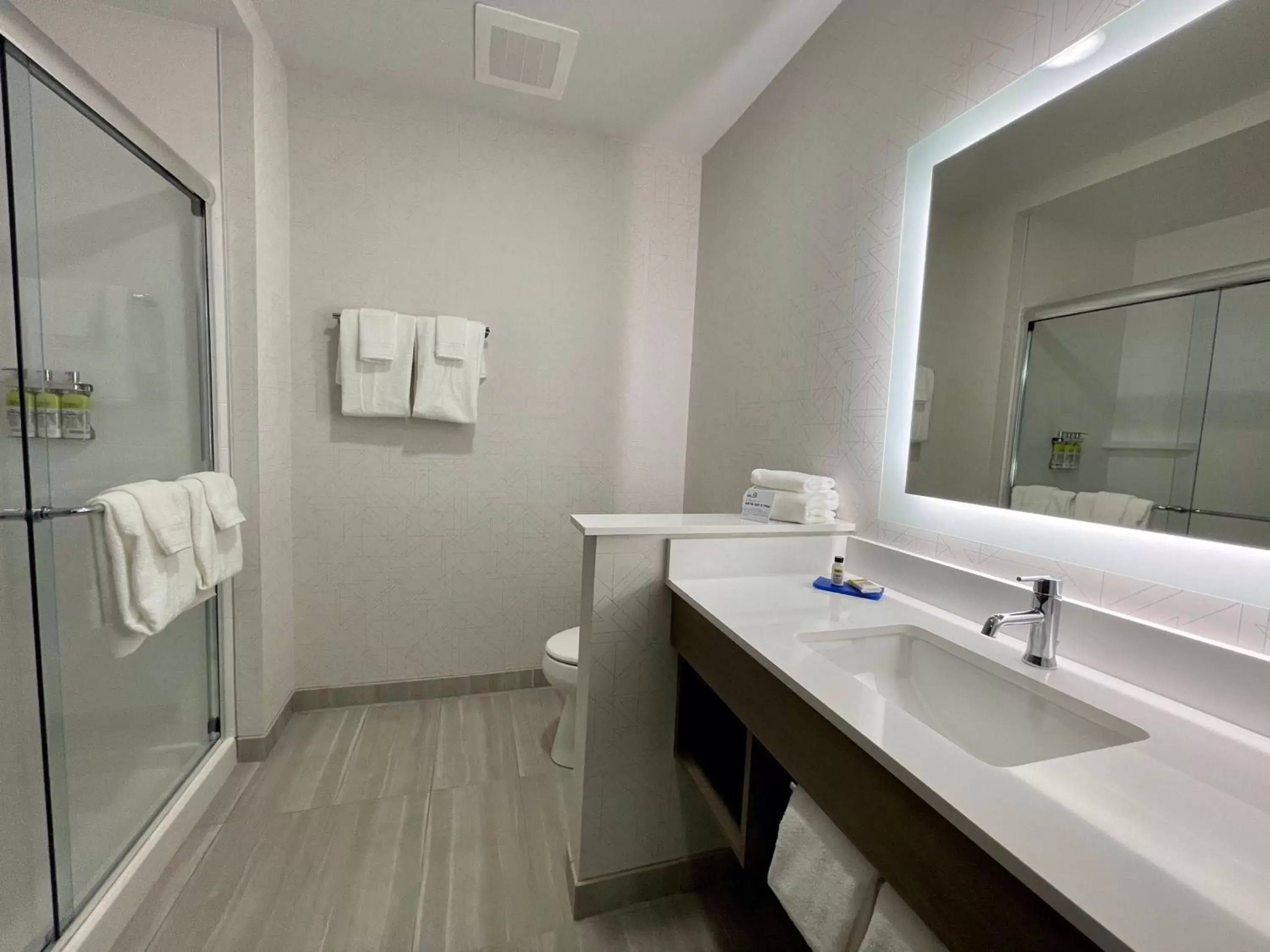 Bathroom in Holiday Inn Express & Suites - Ft. Smith - Airport, an IHG Hotel