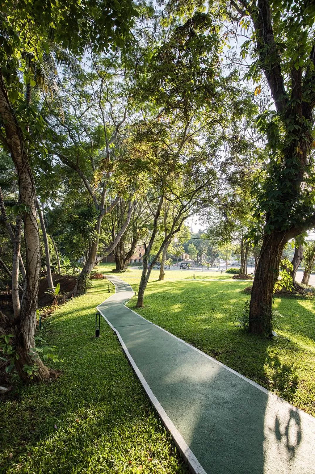 Garden in The Heritage Chiang Rai Hotel and Convention