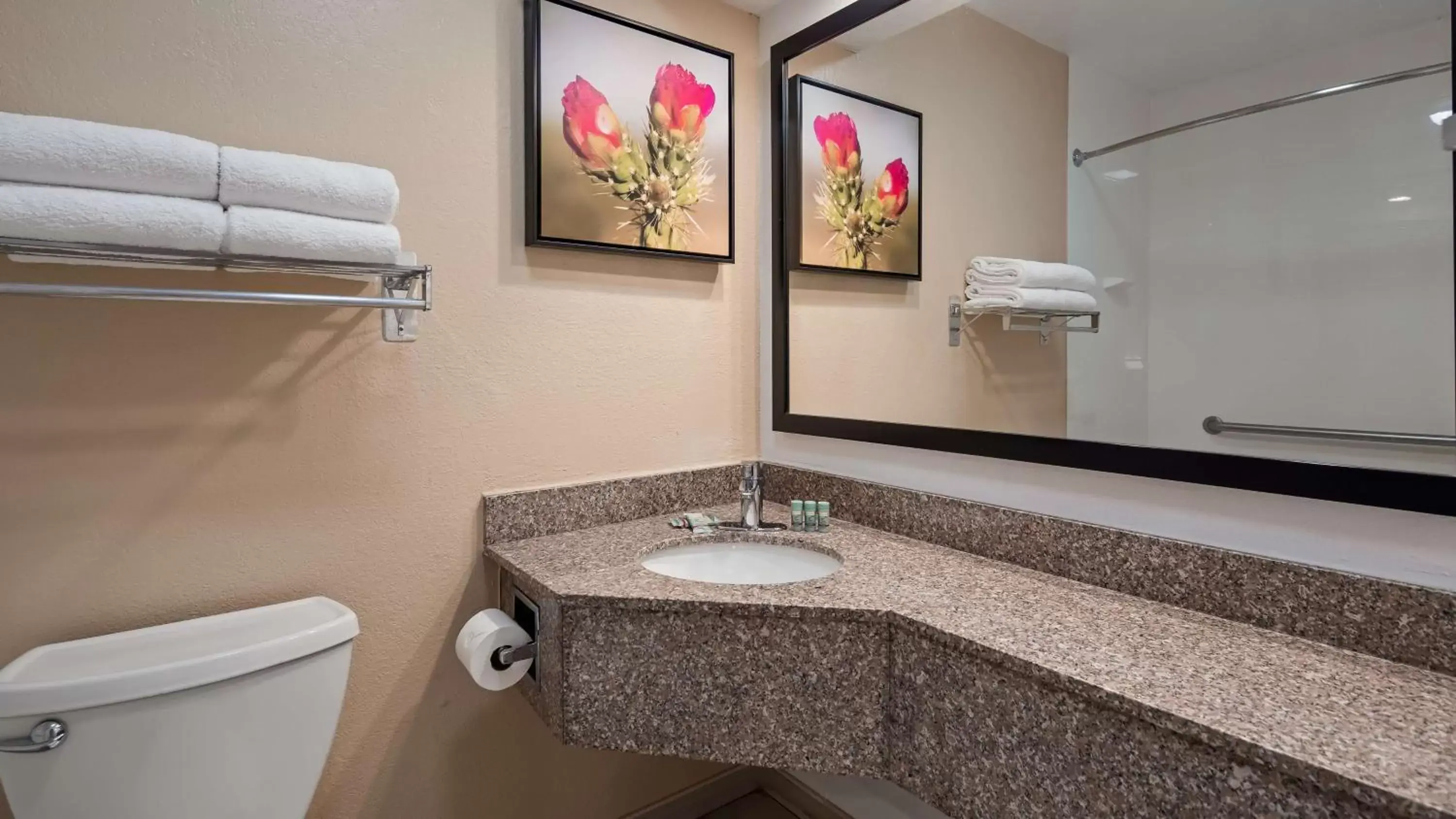 Bathroom in Best Western Santa Rosa Inn