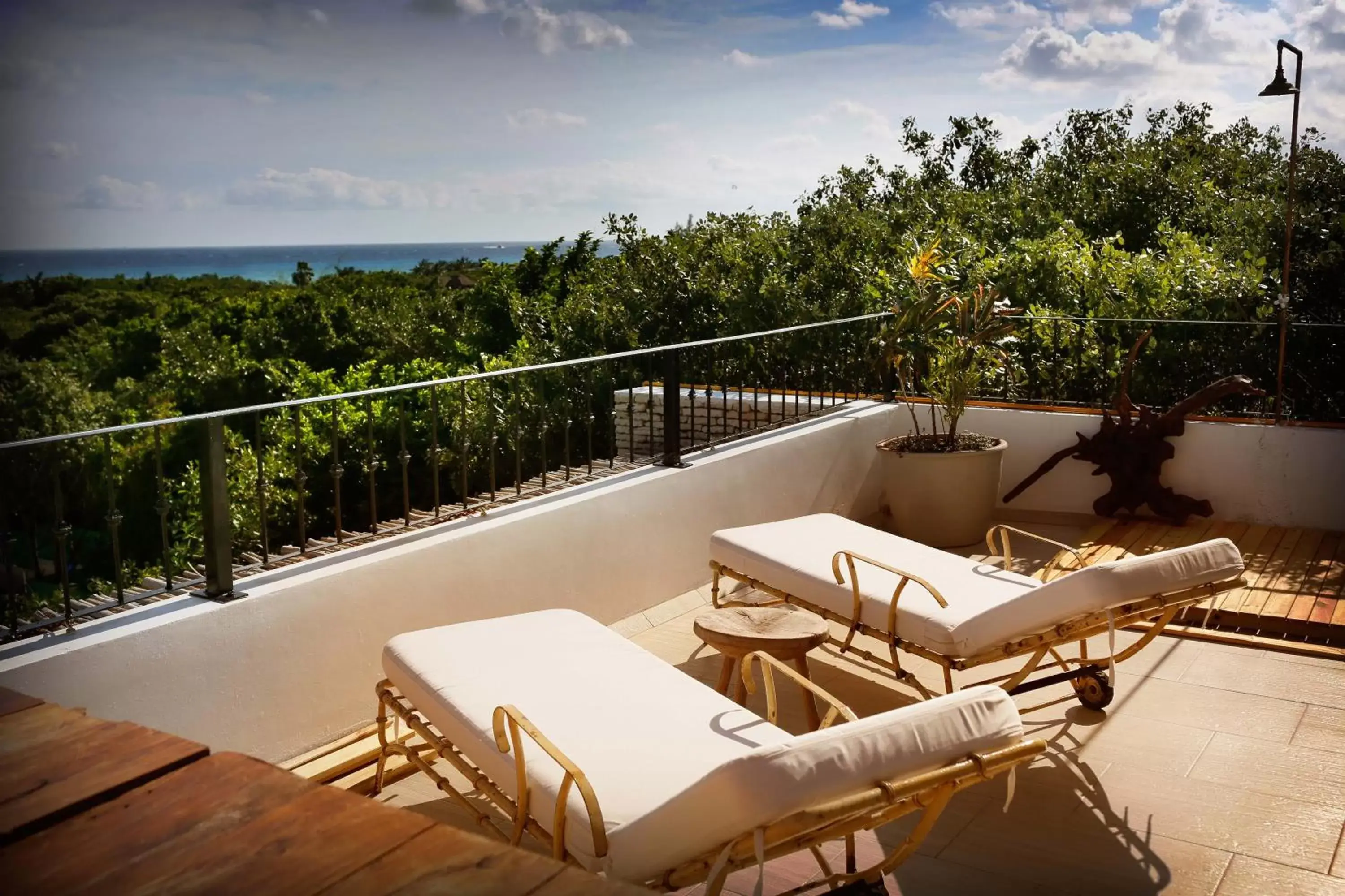 Balcony/Terrace in Hotel La Semilla a Member of Design Hotels