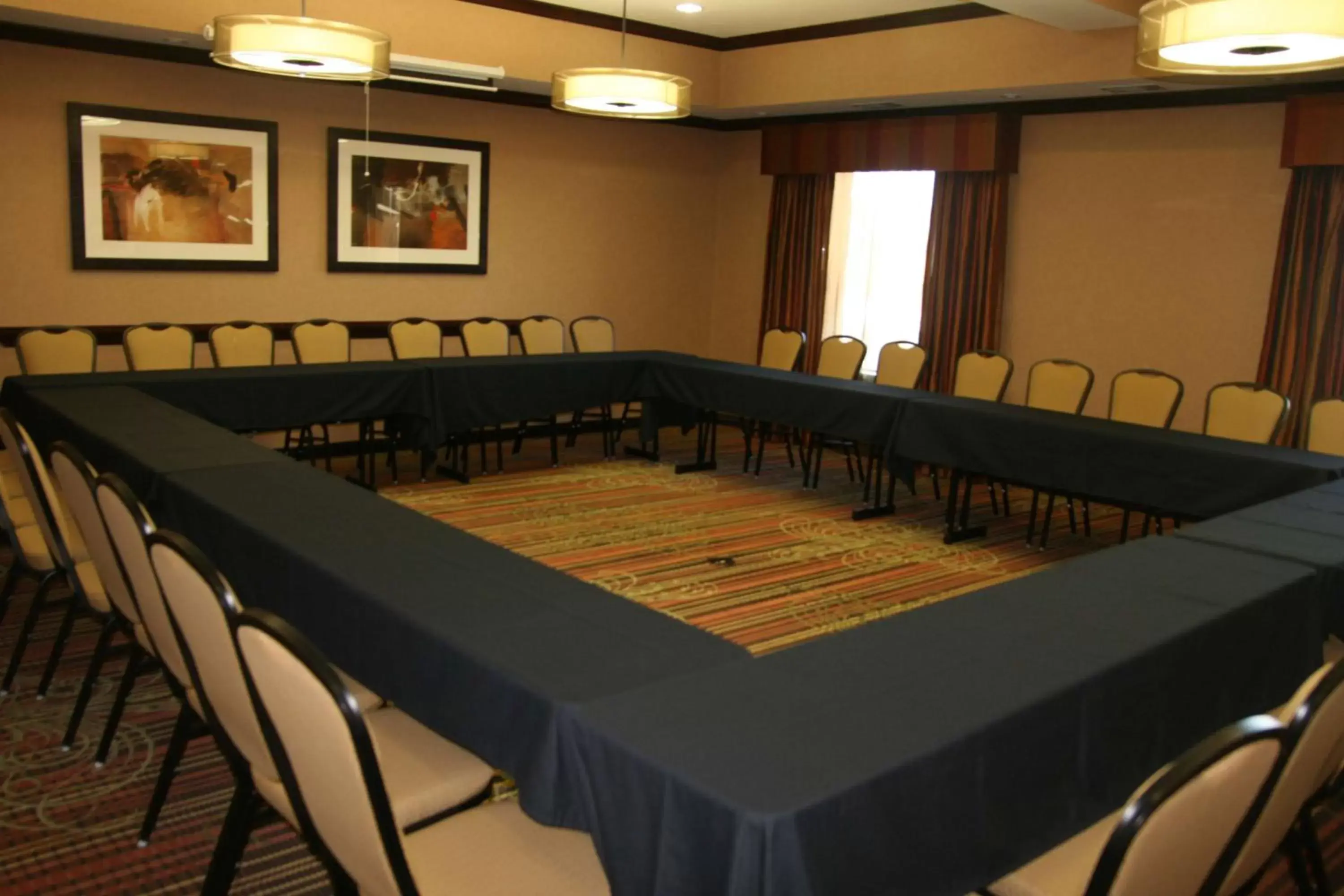 Meeting/conference room in Hampton Inn & Suites New Braunfels