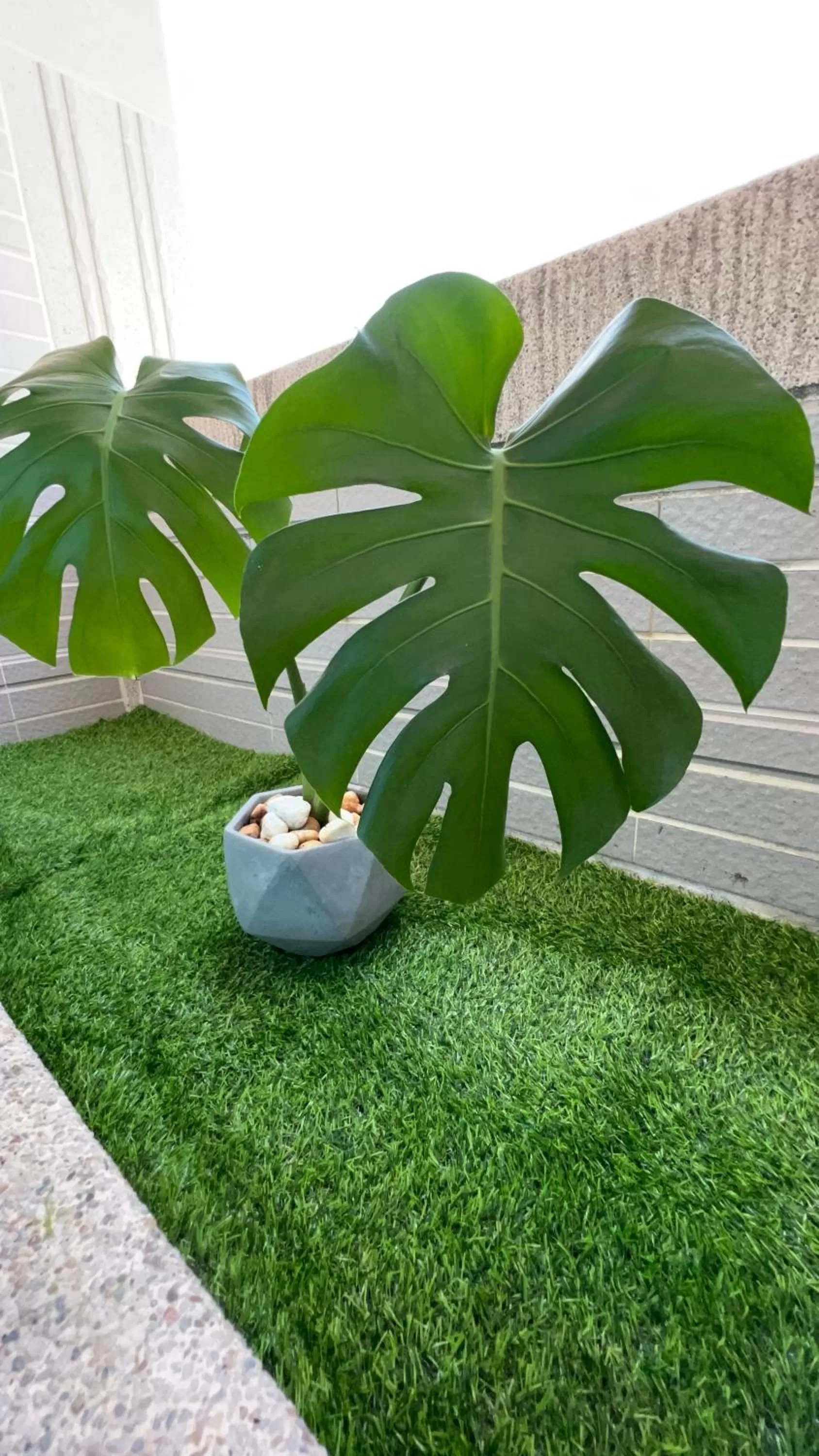 Dou Dou Long Homestay