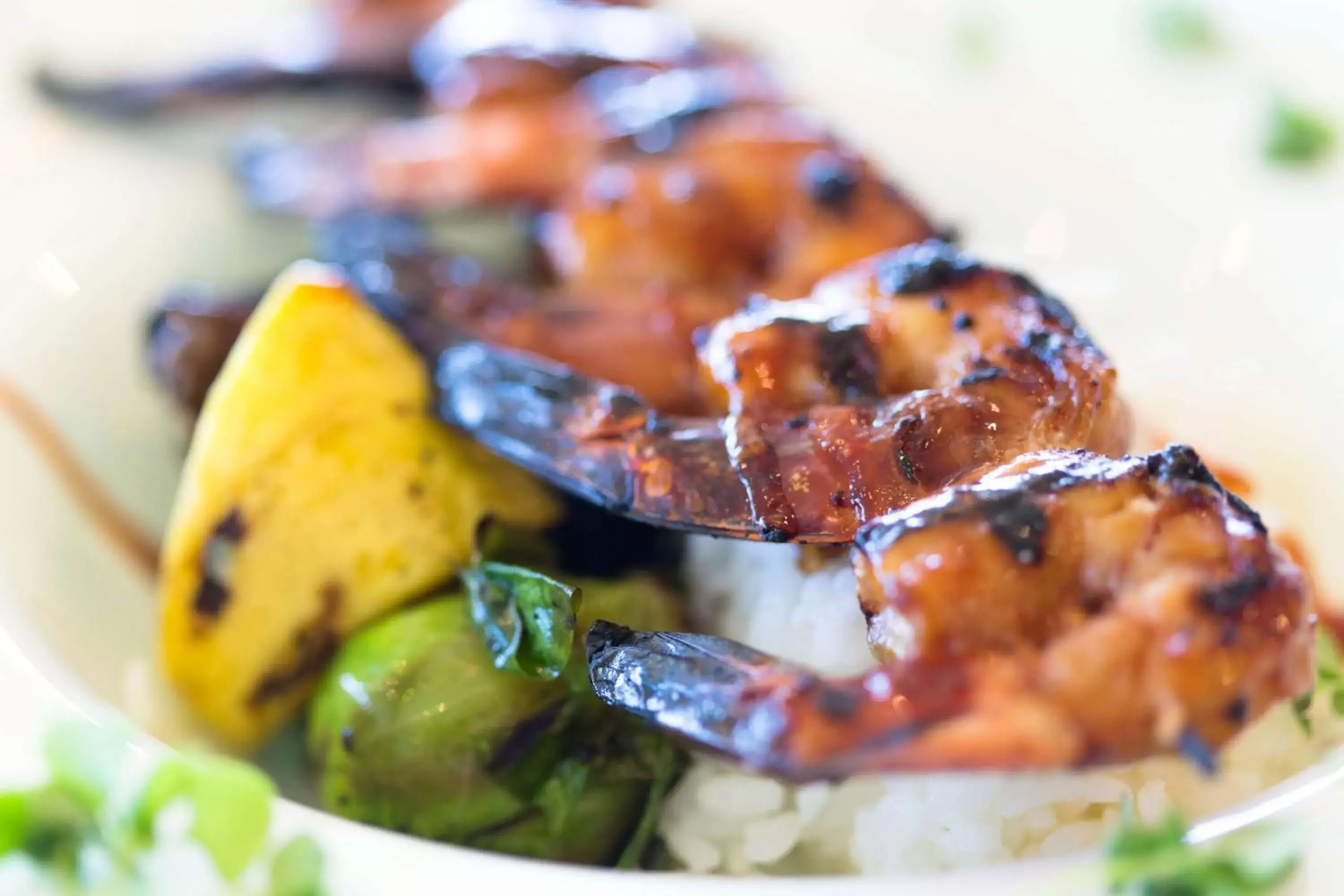 Restaurant/places to eat in Wyndham Virginia Beach Oceanfront Restaurant/places to eat in Wyndham Virginia Beach Oceanfront