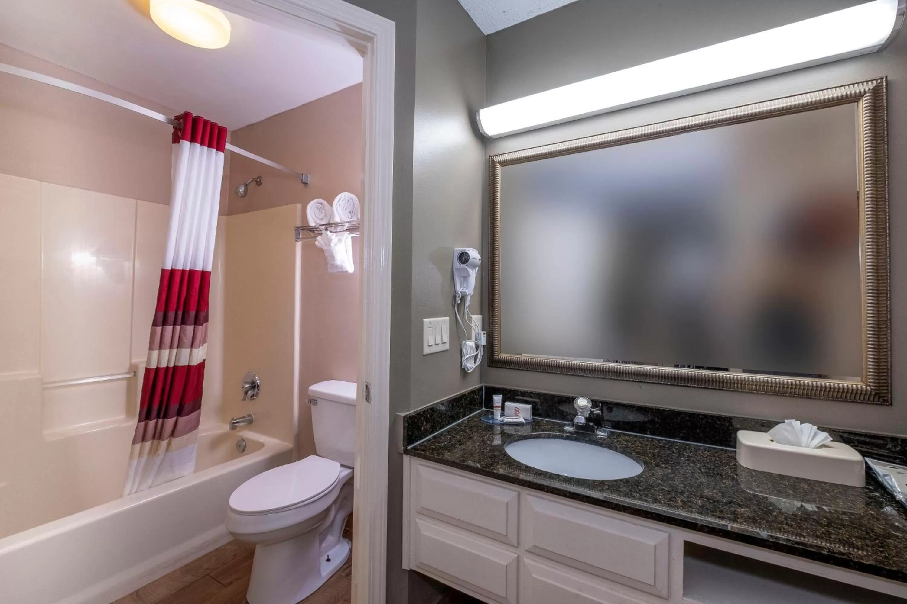 Bathroom in Red Roof Inn & Suites Wilson