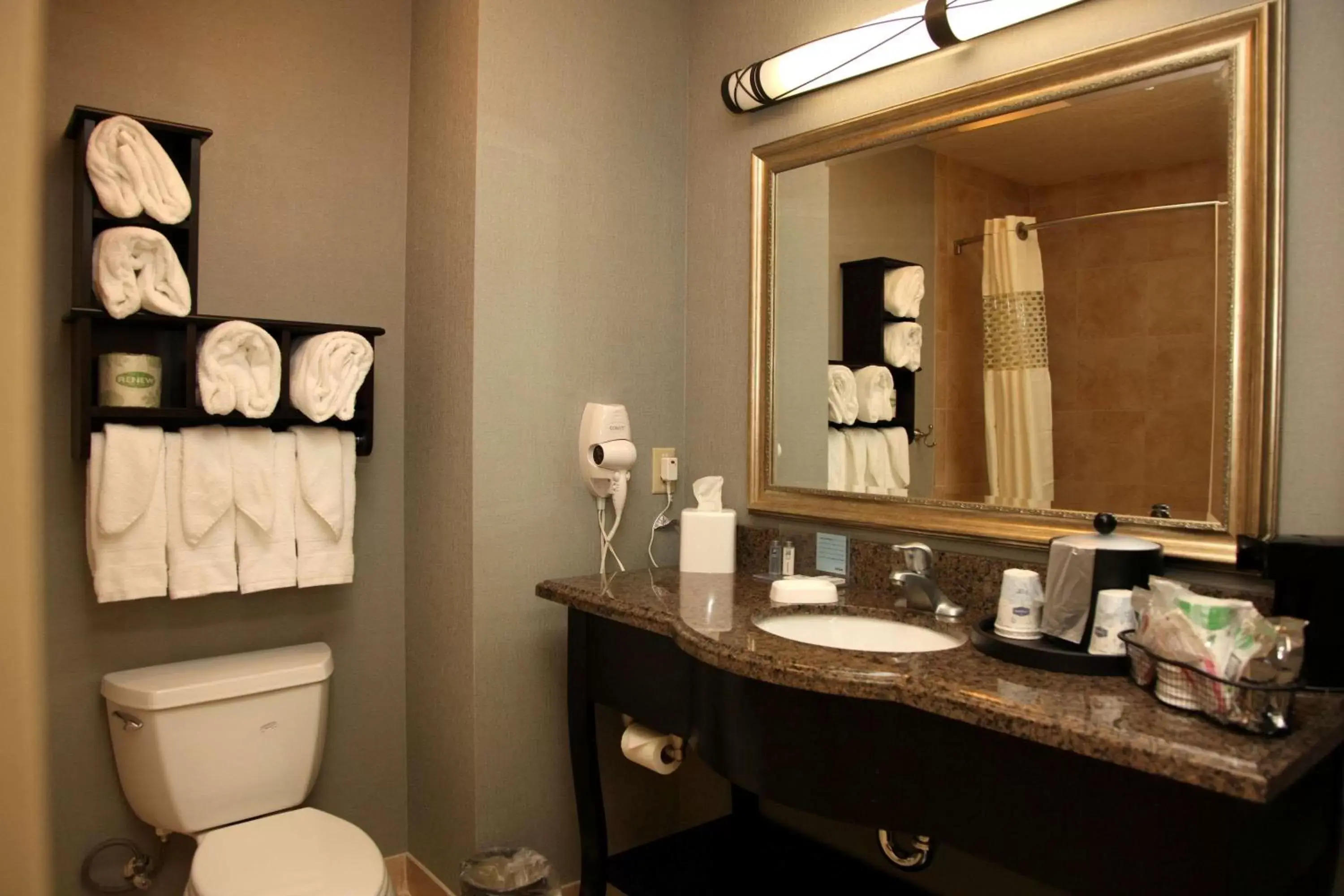 Bathroom in Hampton Inn & Suites Carlsbad