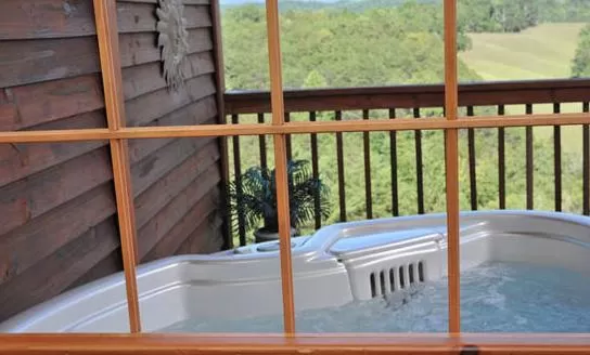 Swimming Pool in Berry Springs Lodge