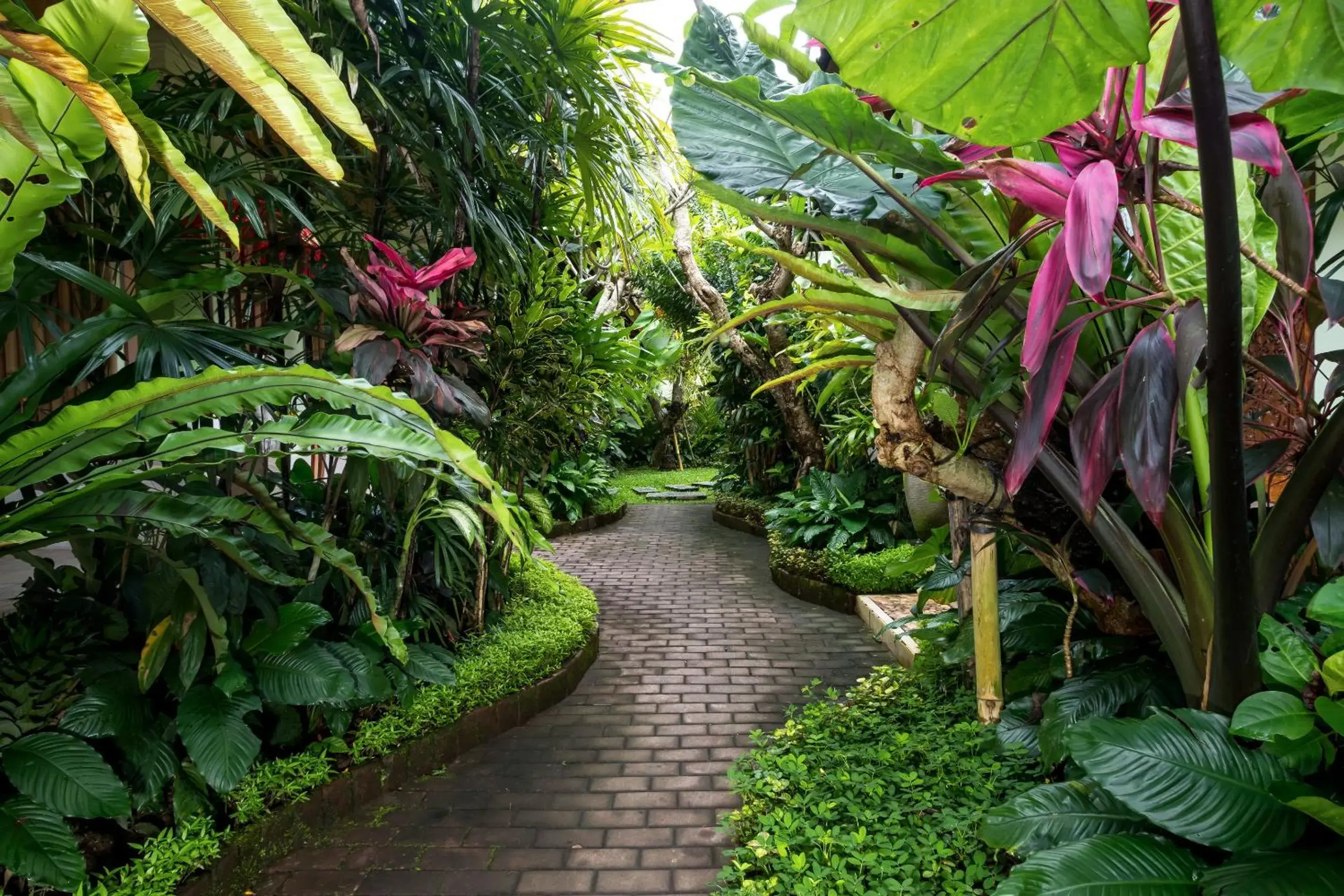 Day in Padma Ubud Retreat