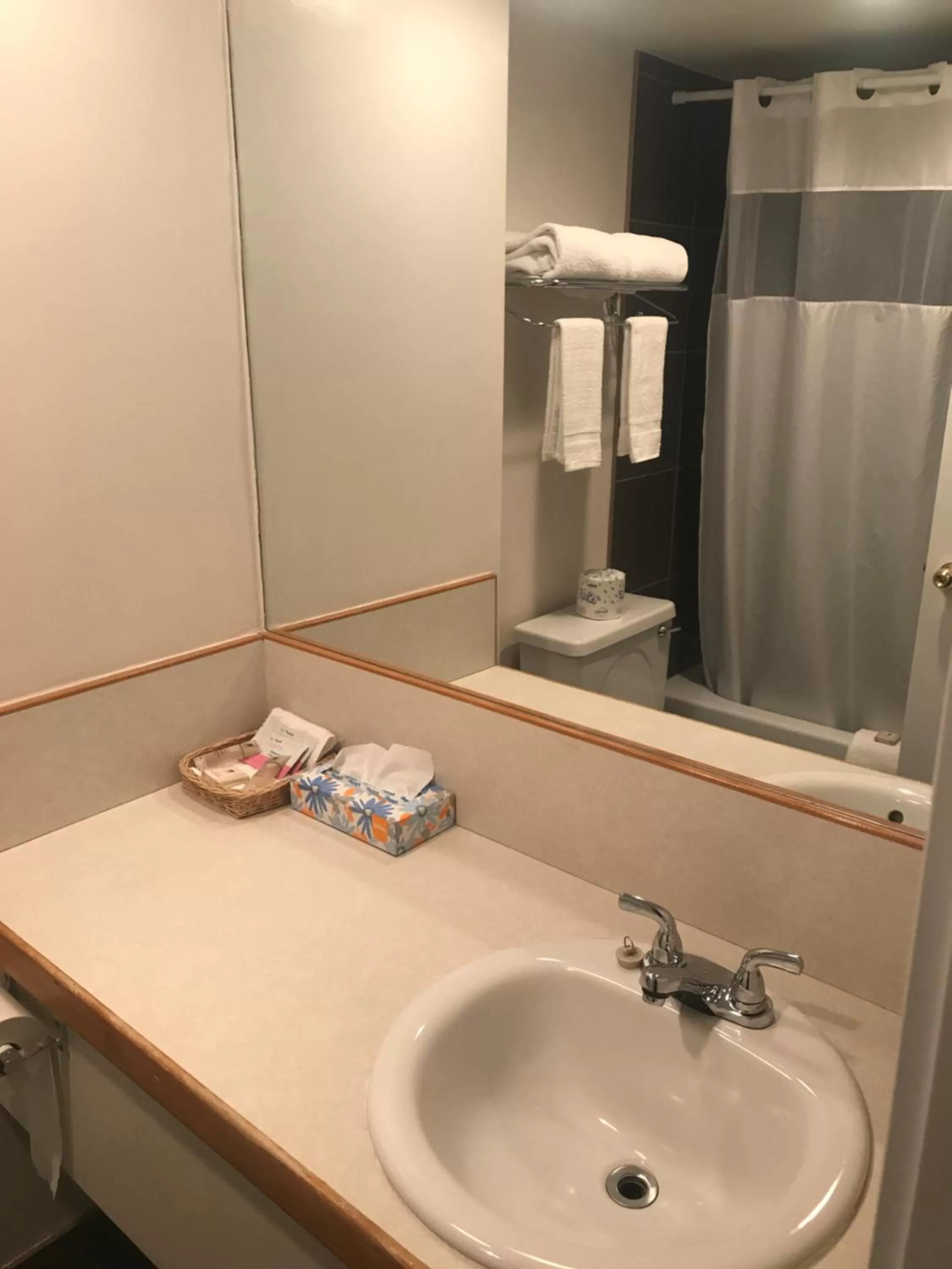 Bathroom in Bear Country Inn