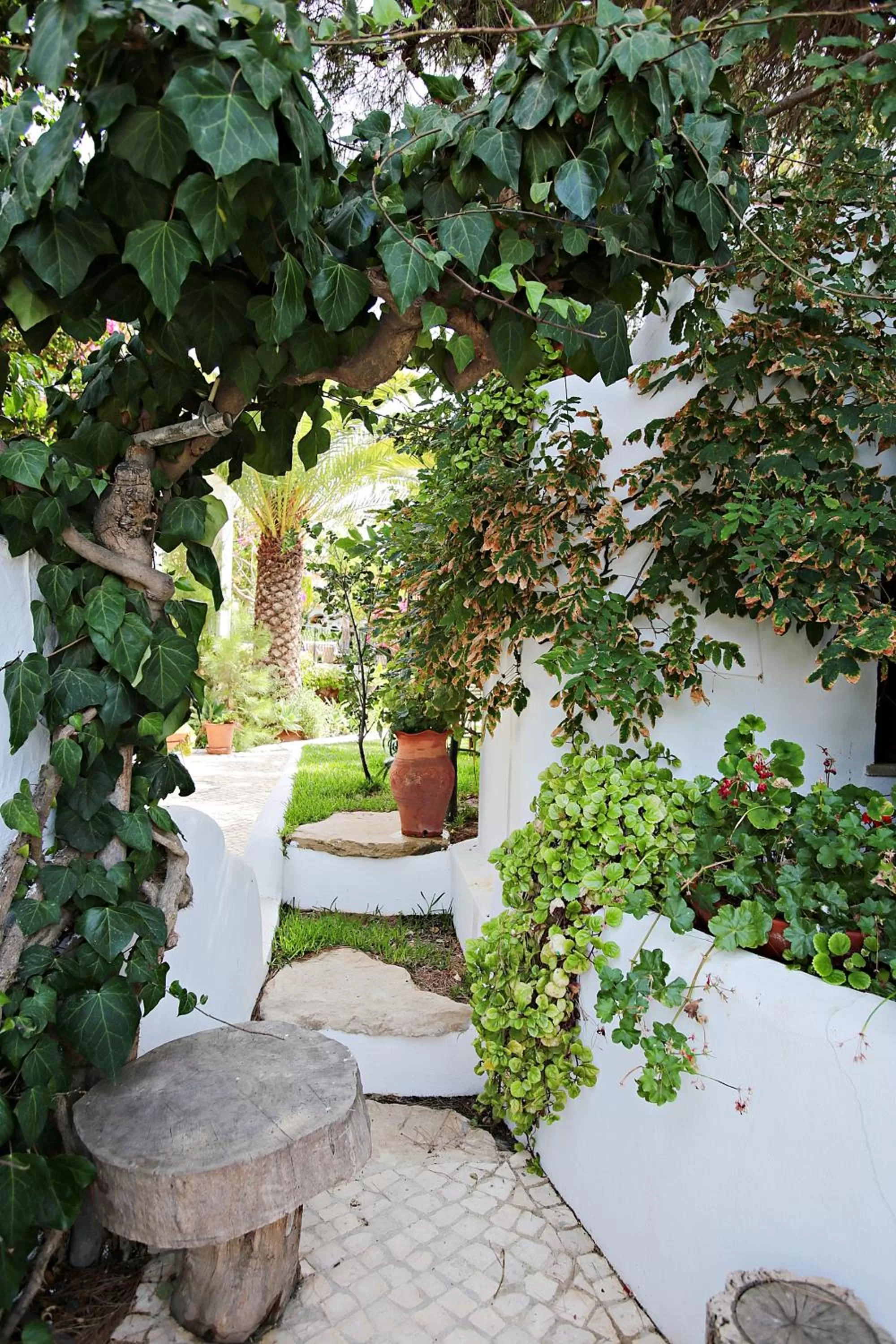 Patio in Uma Casa a Beira Sol