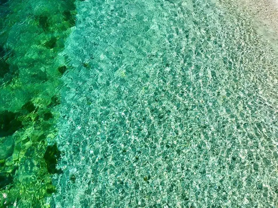 Beach, Swimming Pool in Hotel Il Parco Sirolo