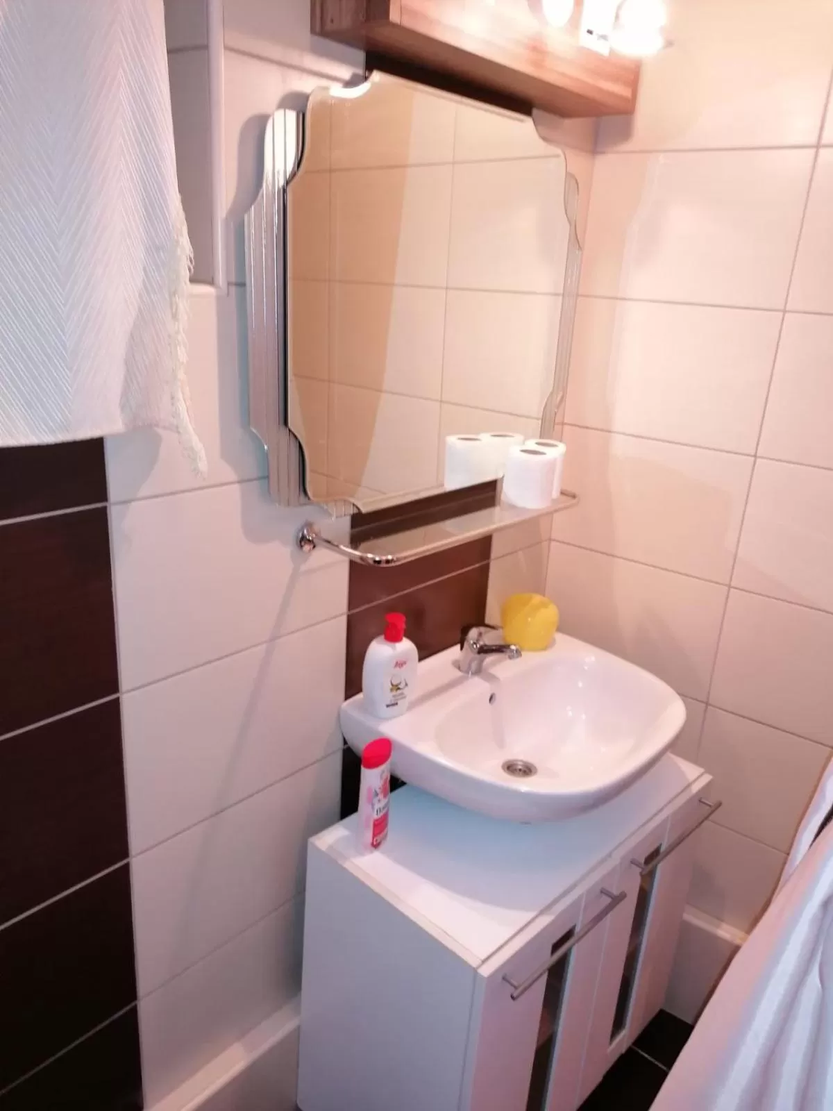 Bathroom in Banja Luka šetalište