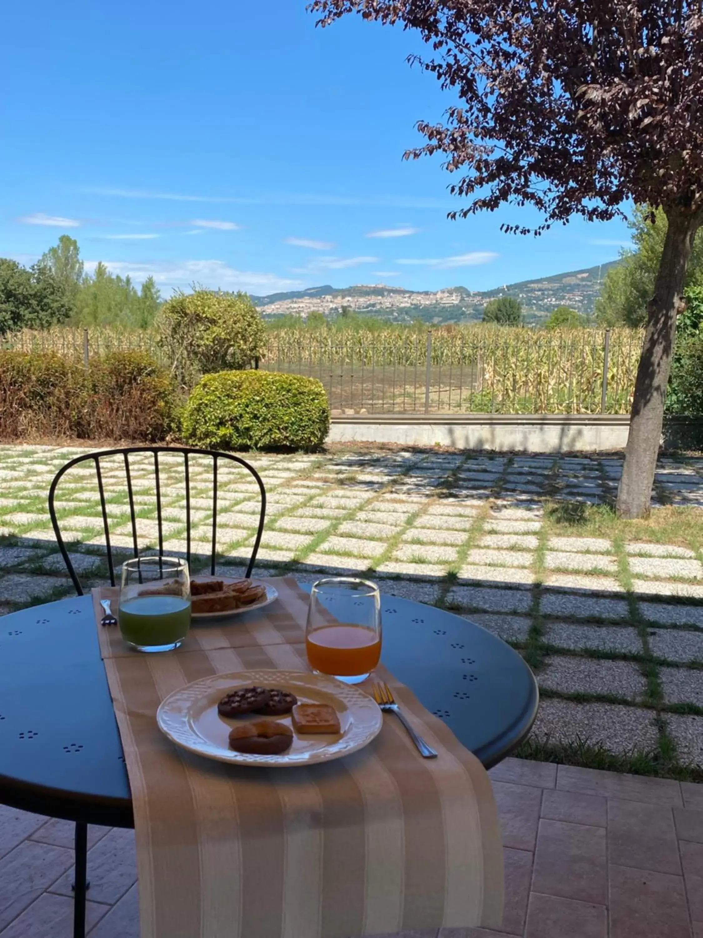 Natural landscape in BELLA ASSISI B & B