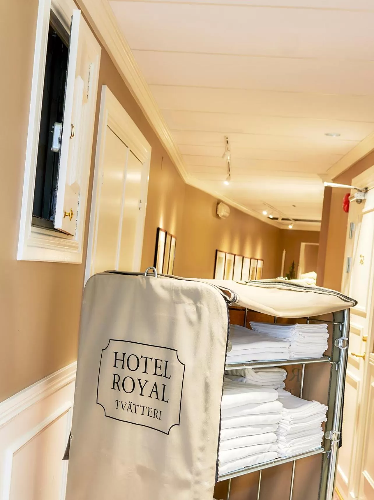 Area and facilities, Bed in Hotel Royal
