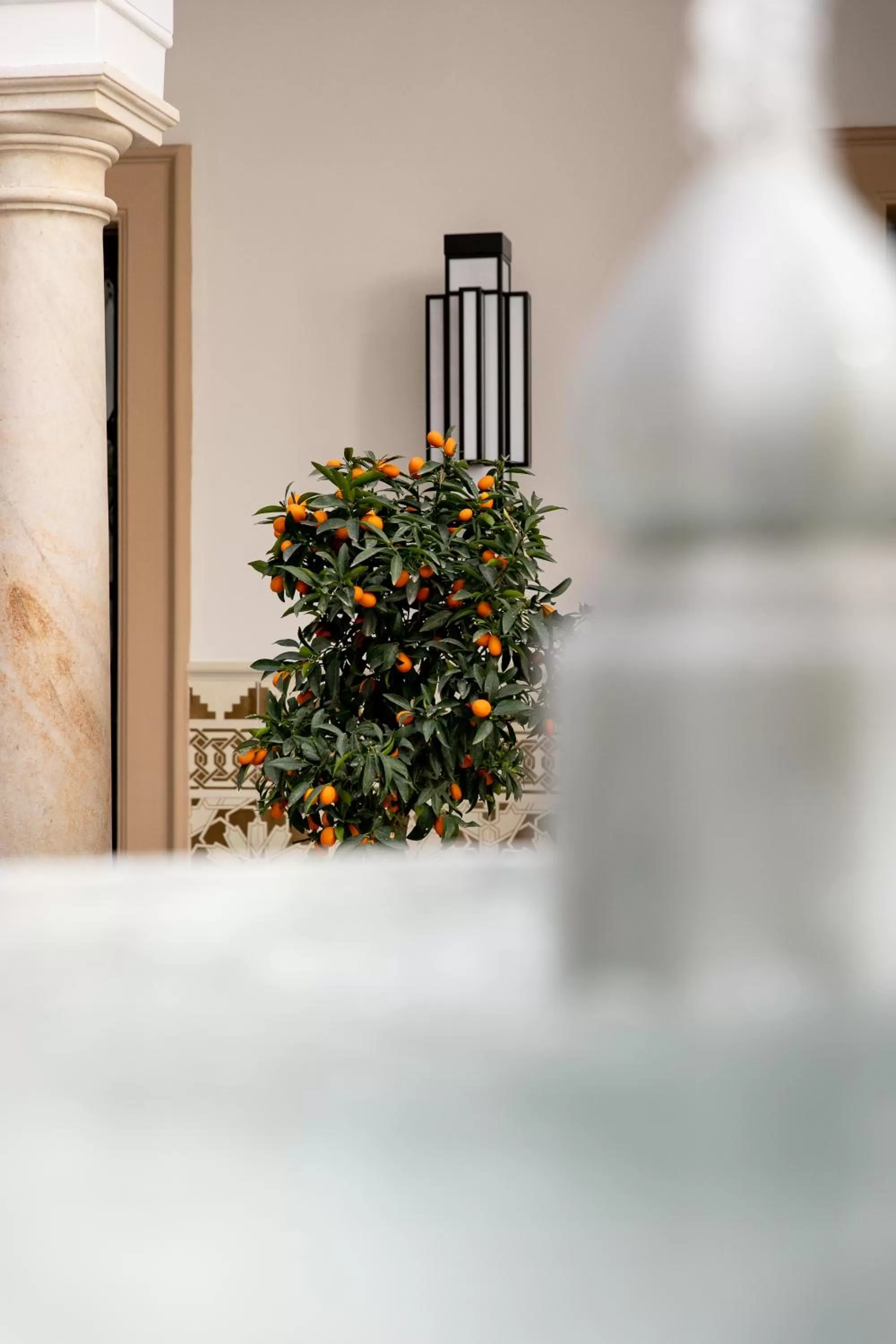 Patio in Hotel Casa Palacio Don Ramón