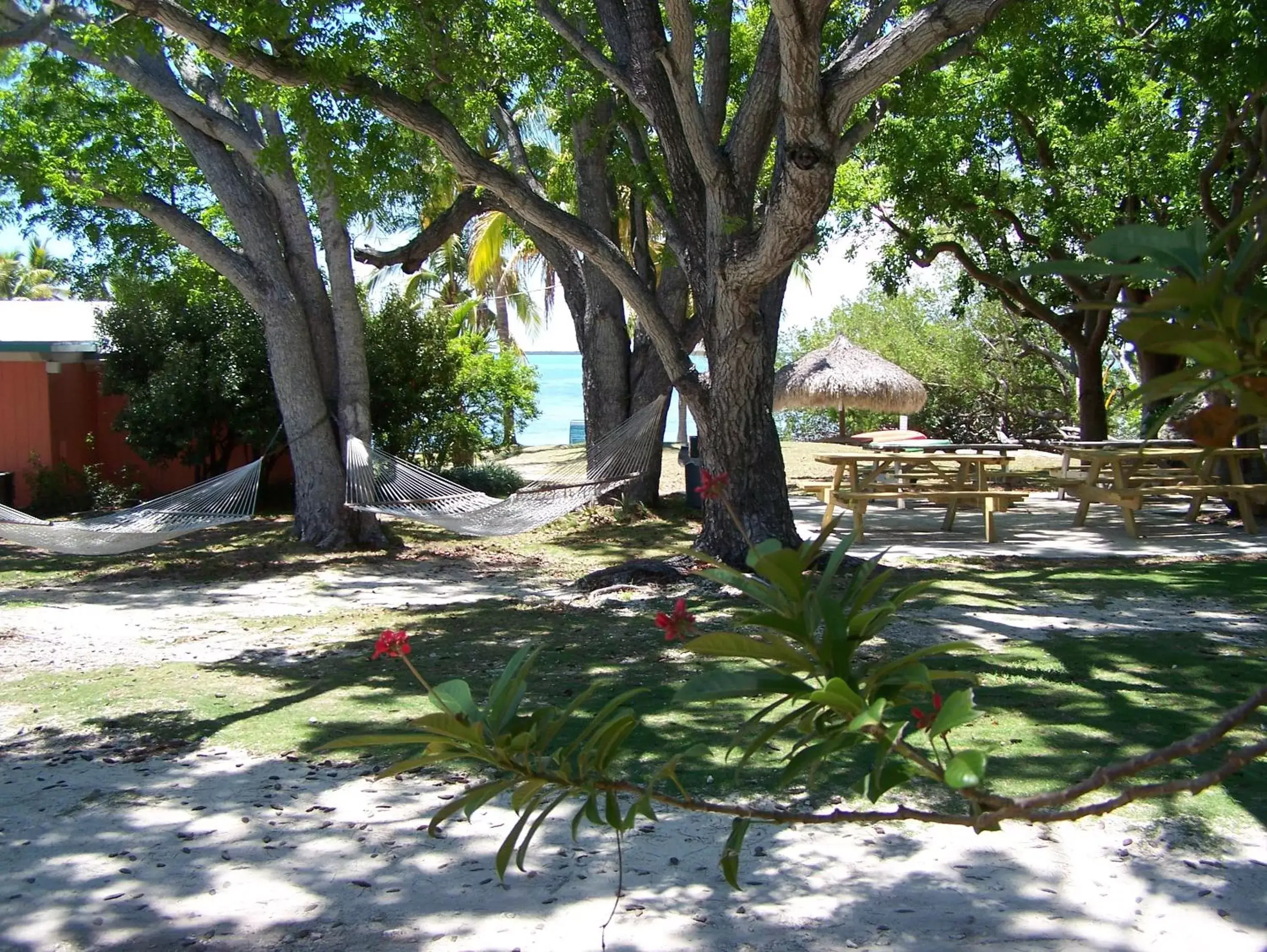 Natural landscape, Garden in Rock Reef Resort