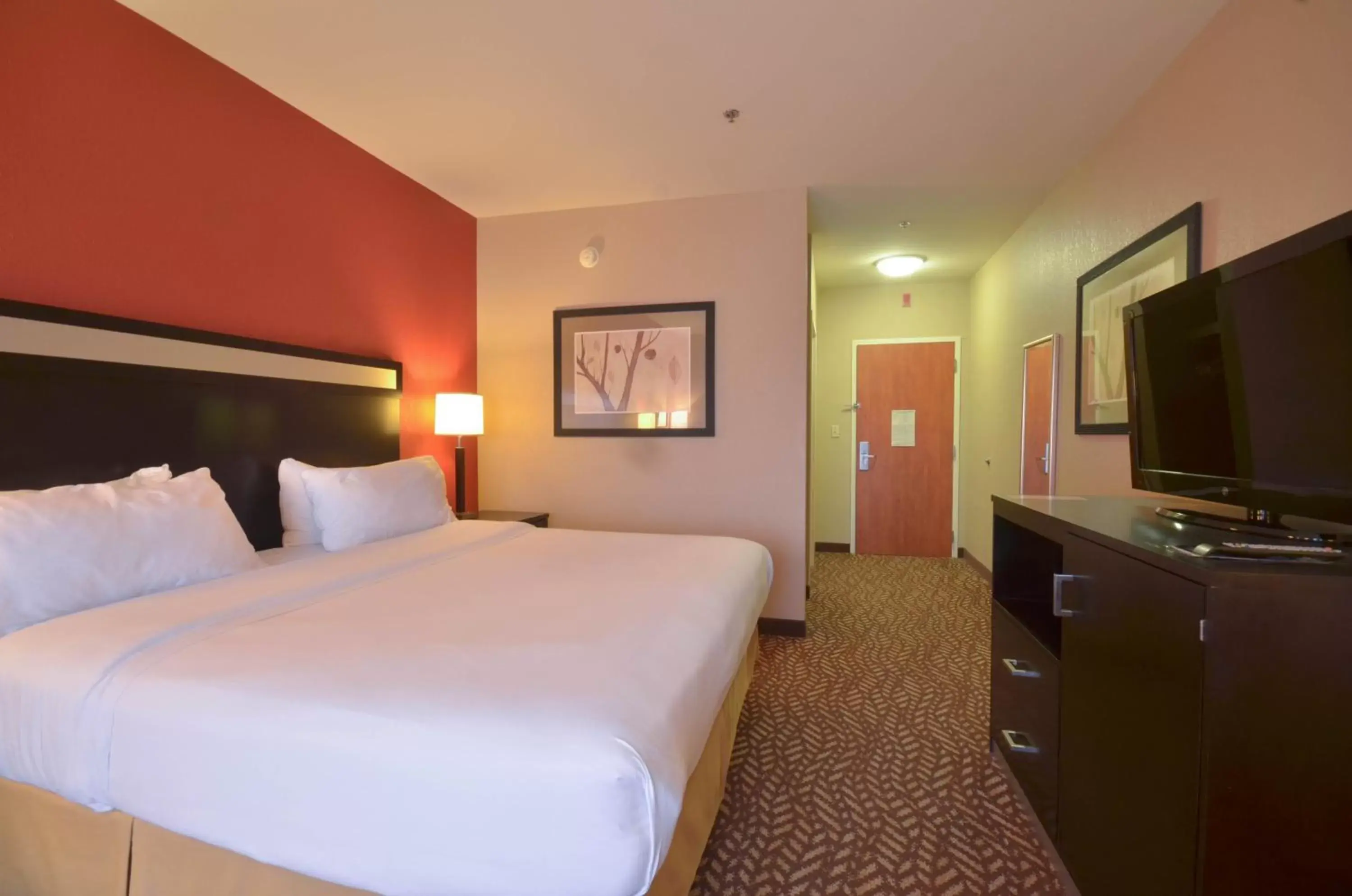 Photo of the whole room, Bed in Holiday Inn Express & Suites Pine Bluff/Pines Mall, an IHG Hotel