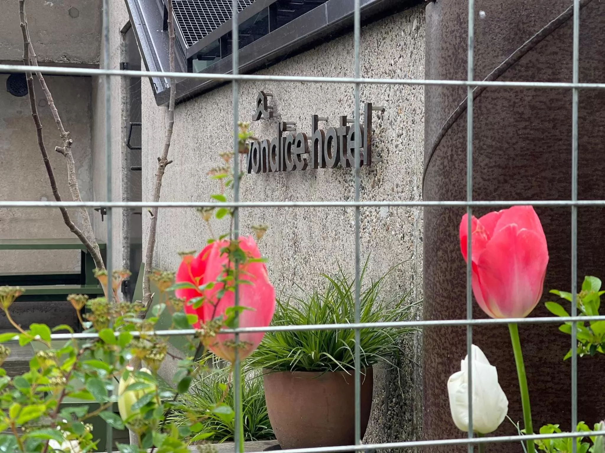 Property building in vondice hotel