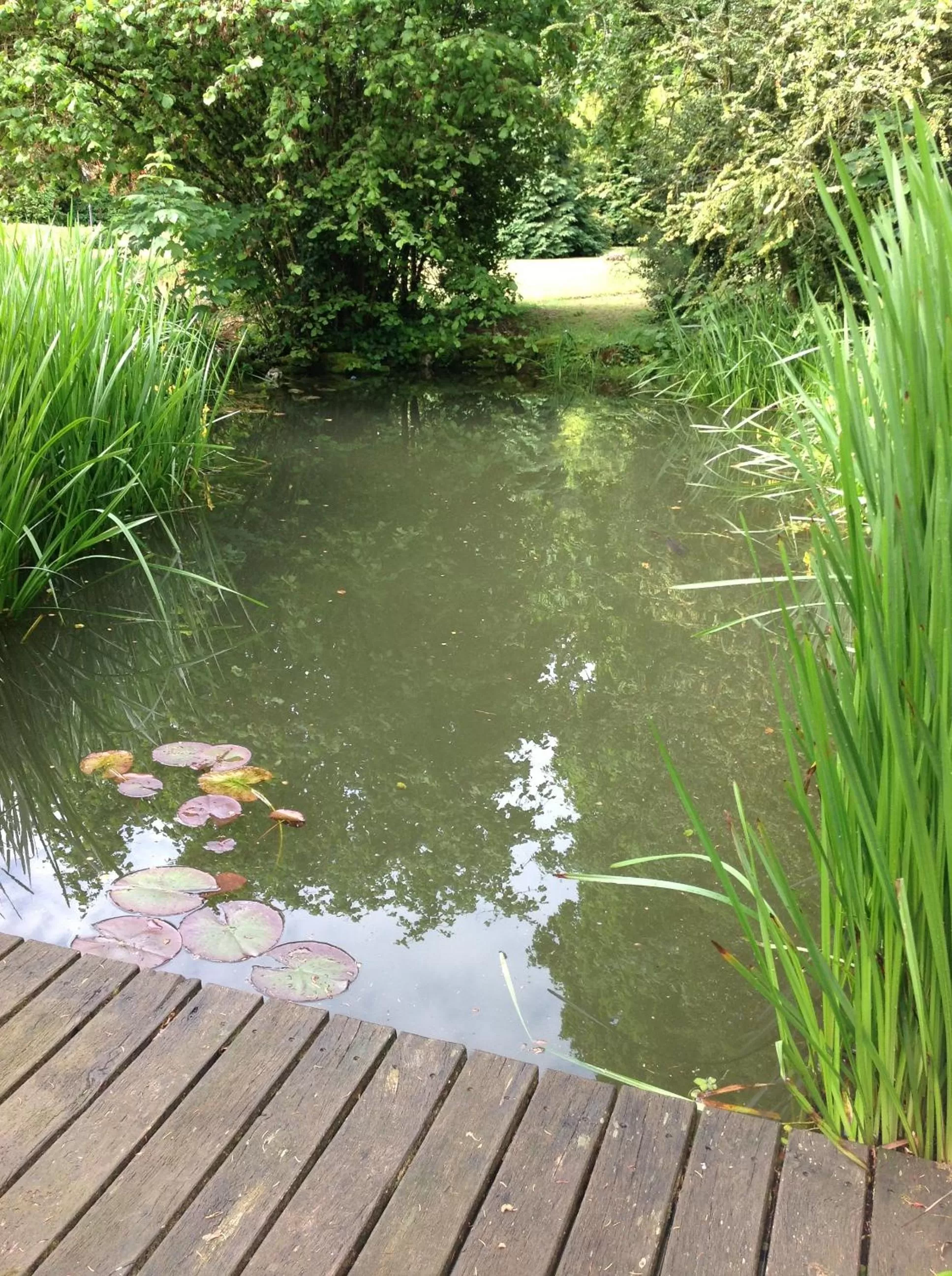 Garden in MaisonMazerand