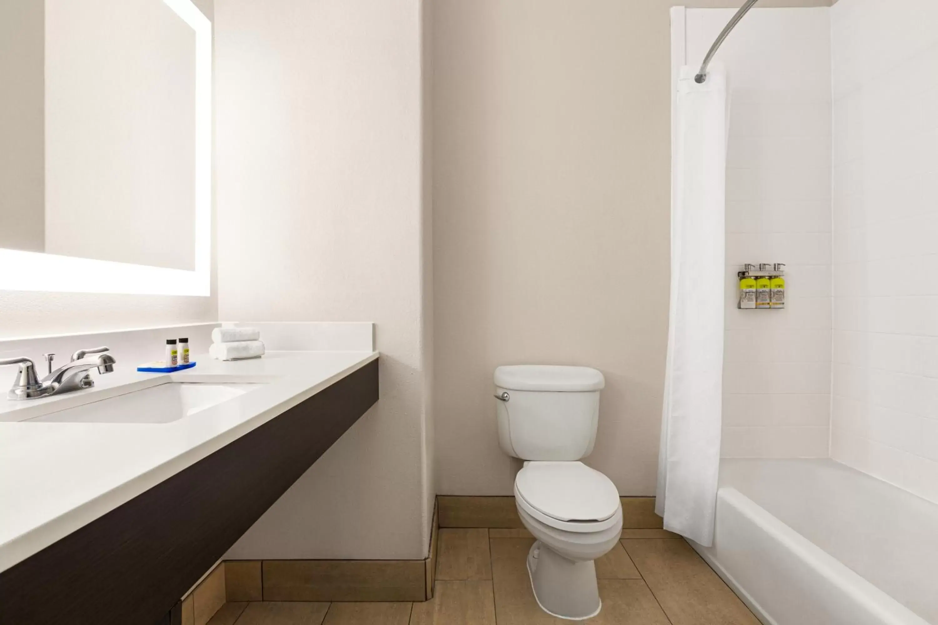 Bathroom in Holiday Inn Express Hotel & Suites San Antonio NW-Medical Area, an IHG Hotel