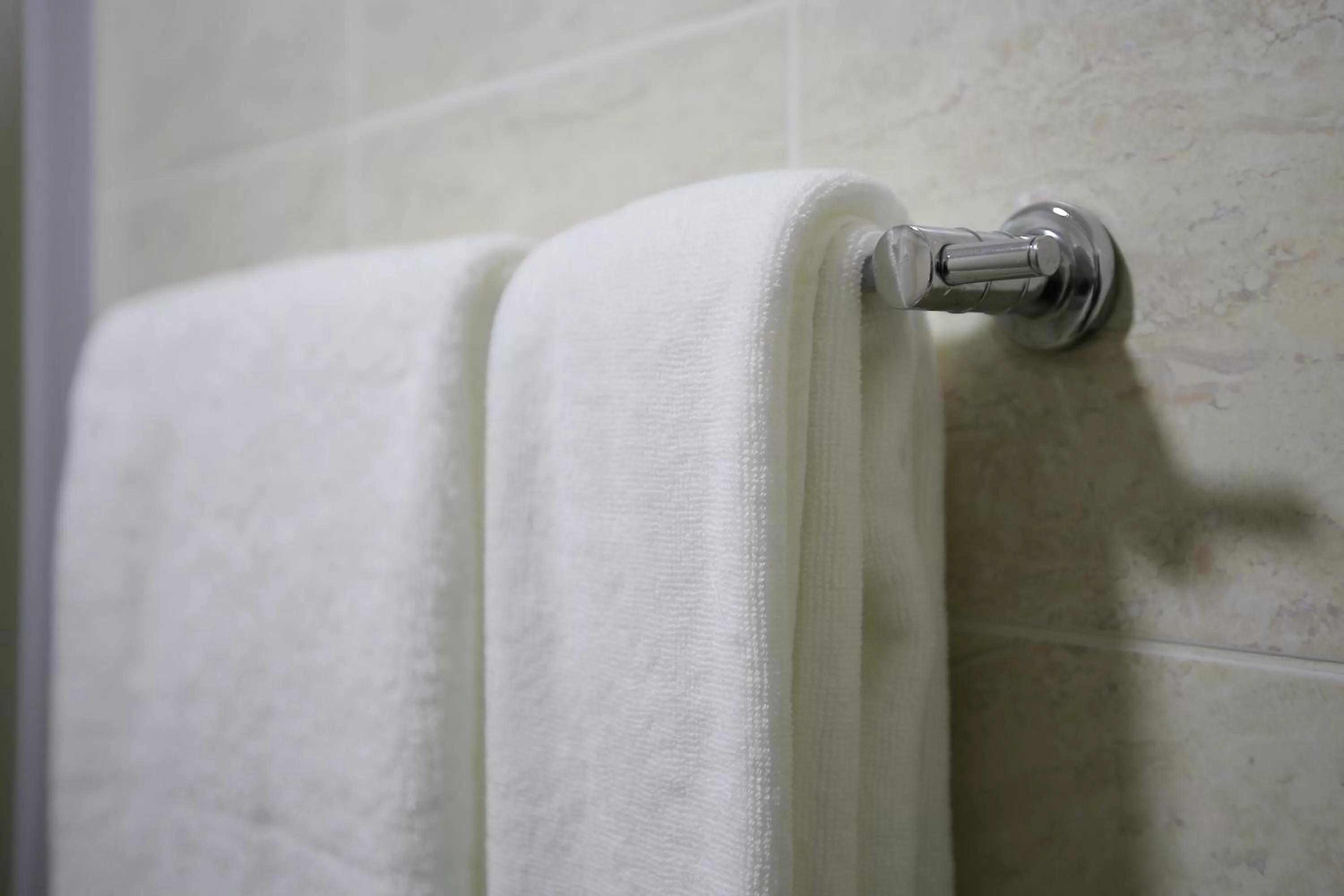 Altai Business Hotel