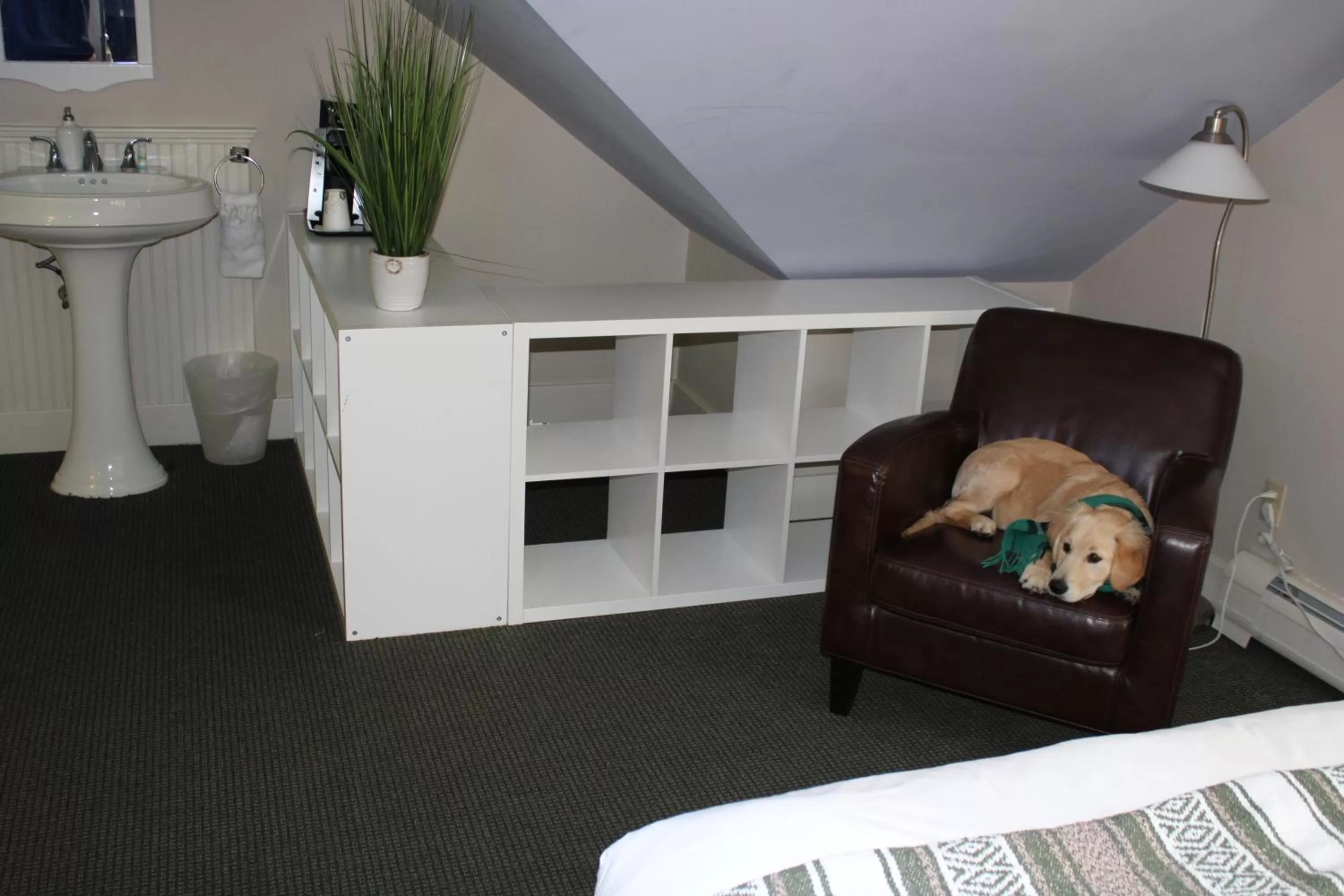 Living room in Pilgrim House