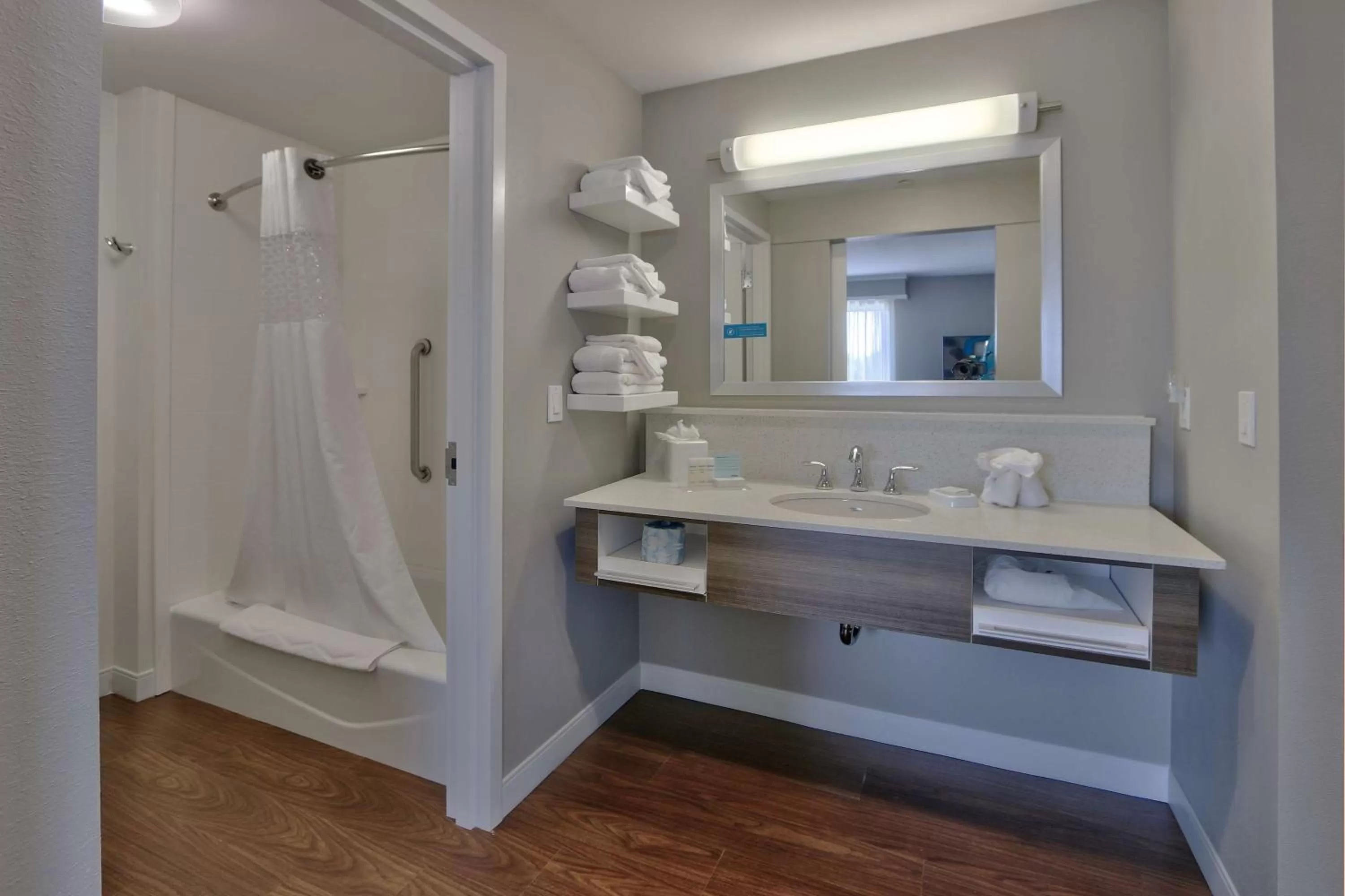 Bathroom in Hampton Inn & Suites Las Cruces I-10, Nm