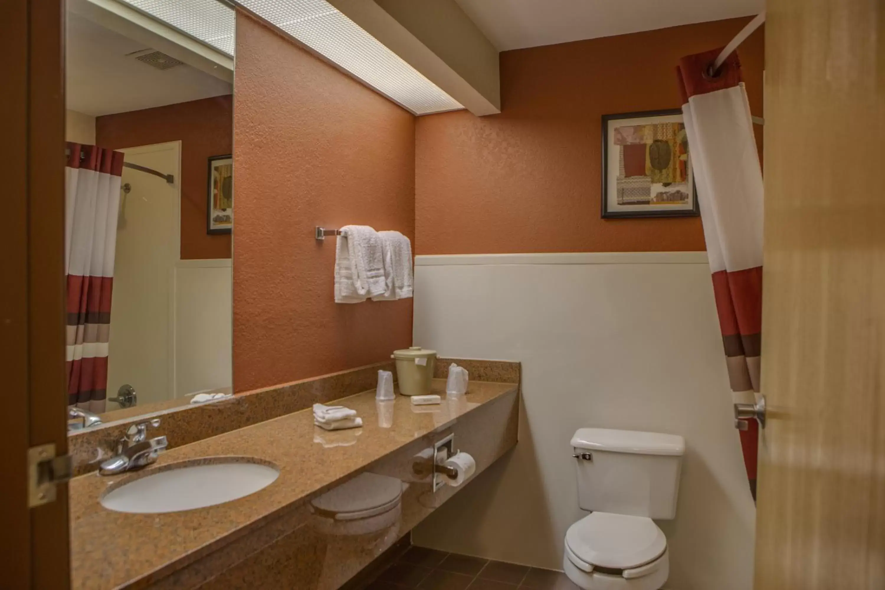 Bathroom in Red Roof Inn Pharr - McAllen