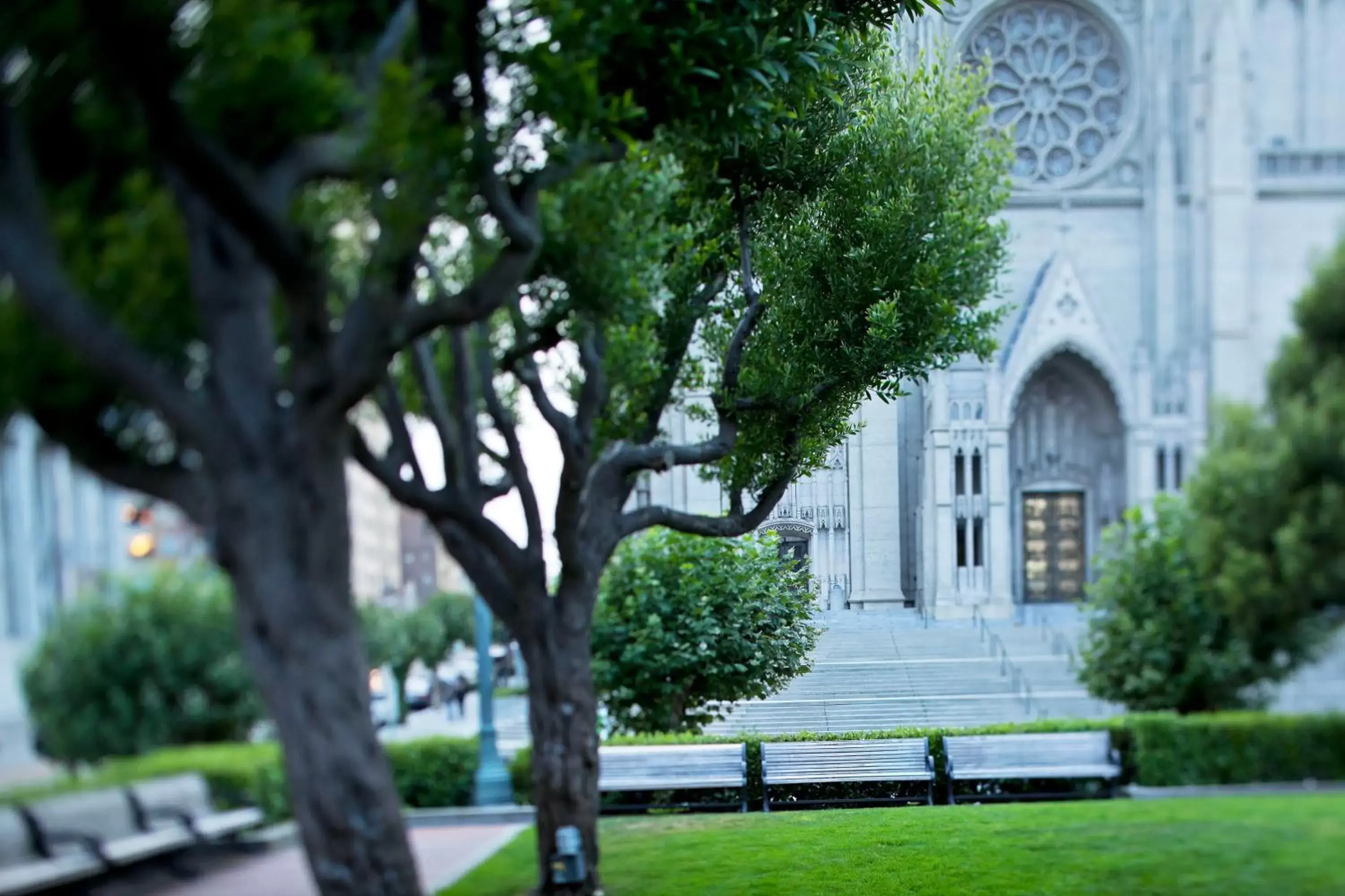 Area and facilities, Property Building in Stanford Court San Francisco