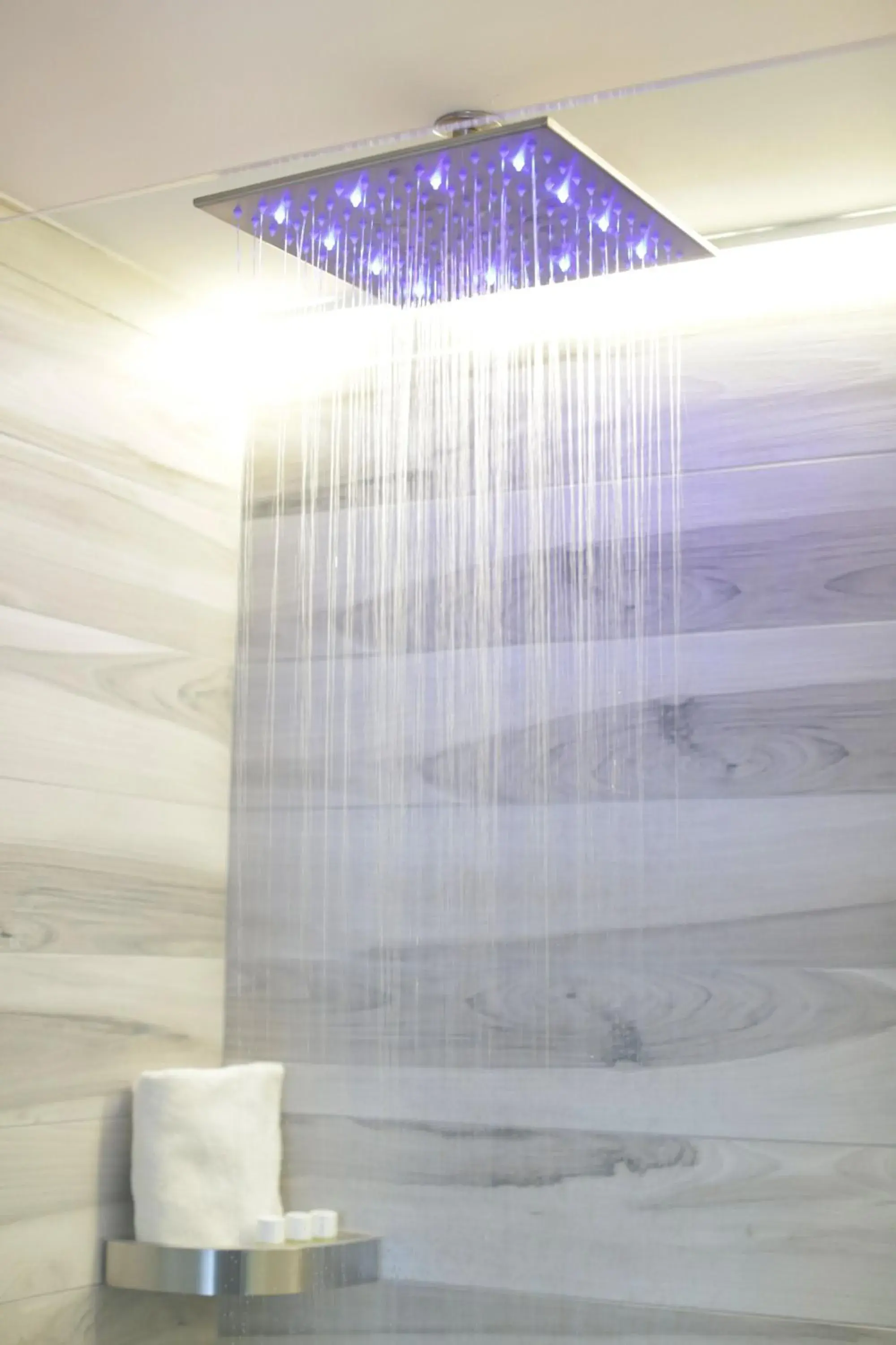 Shower, Bathroom in Hotel Vergilius Billia