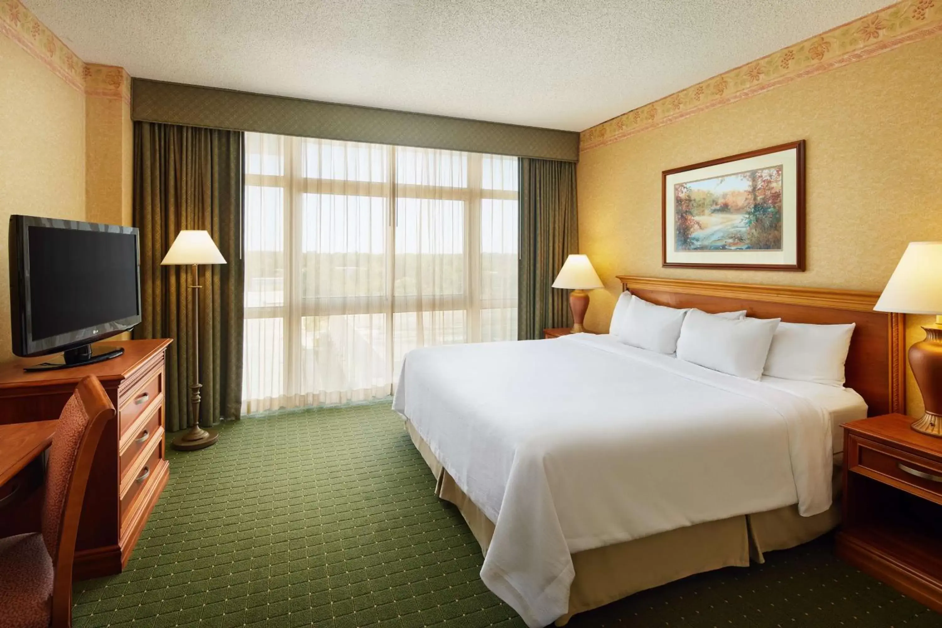 King Suite Accessible with Roll in Shower Non-Smoking in Embassy Suites North Charleston Airport Hotel Convention