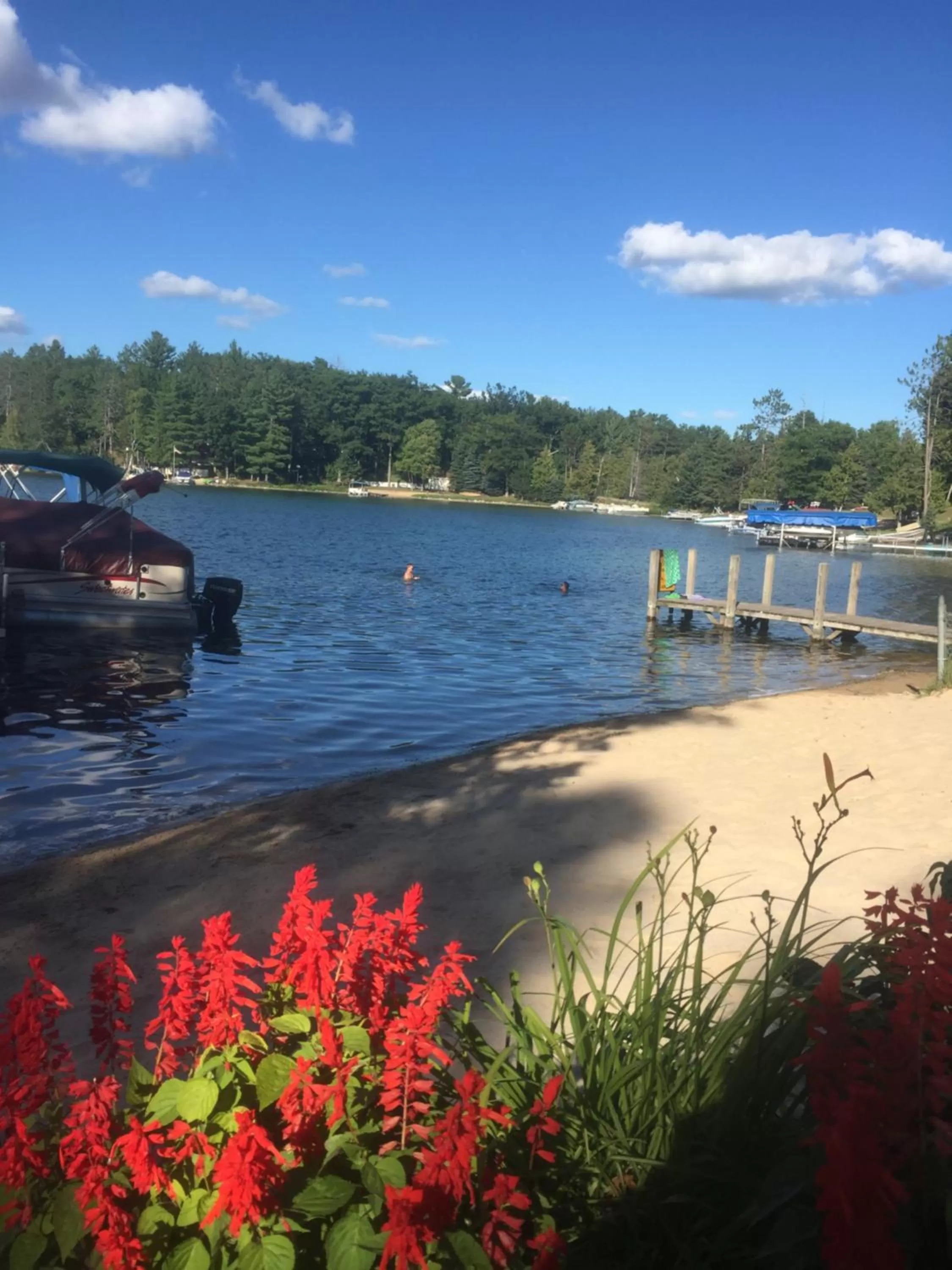 Natural landscape in Clear Lake Resort
