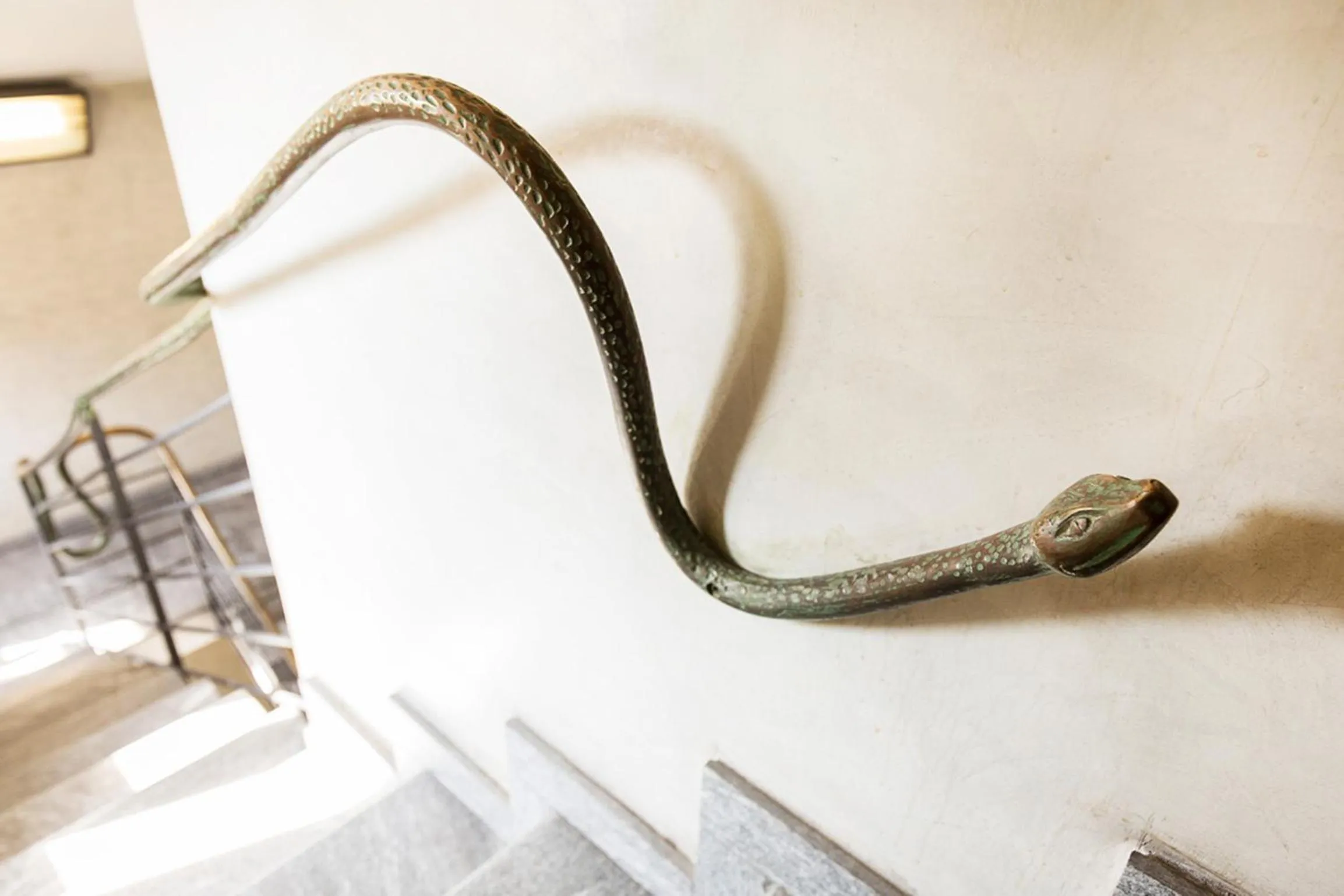 Area and facilities in Hotel Ancora