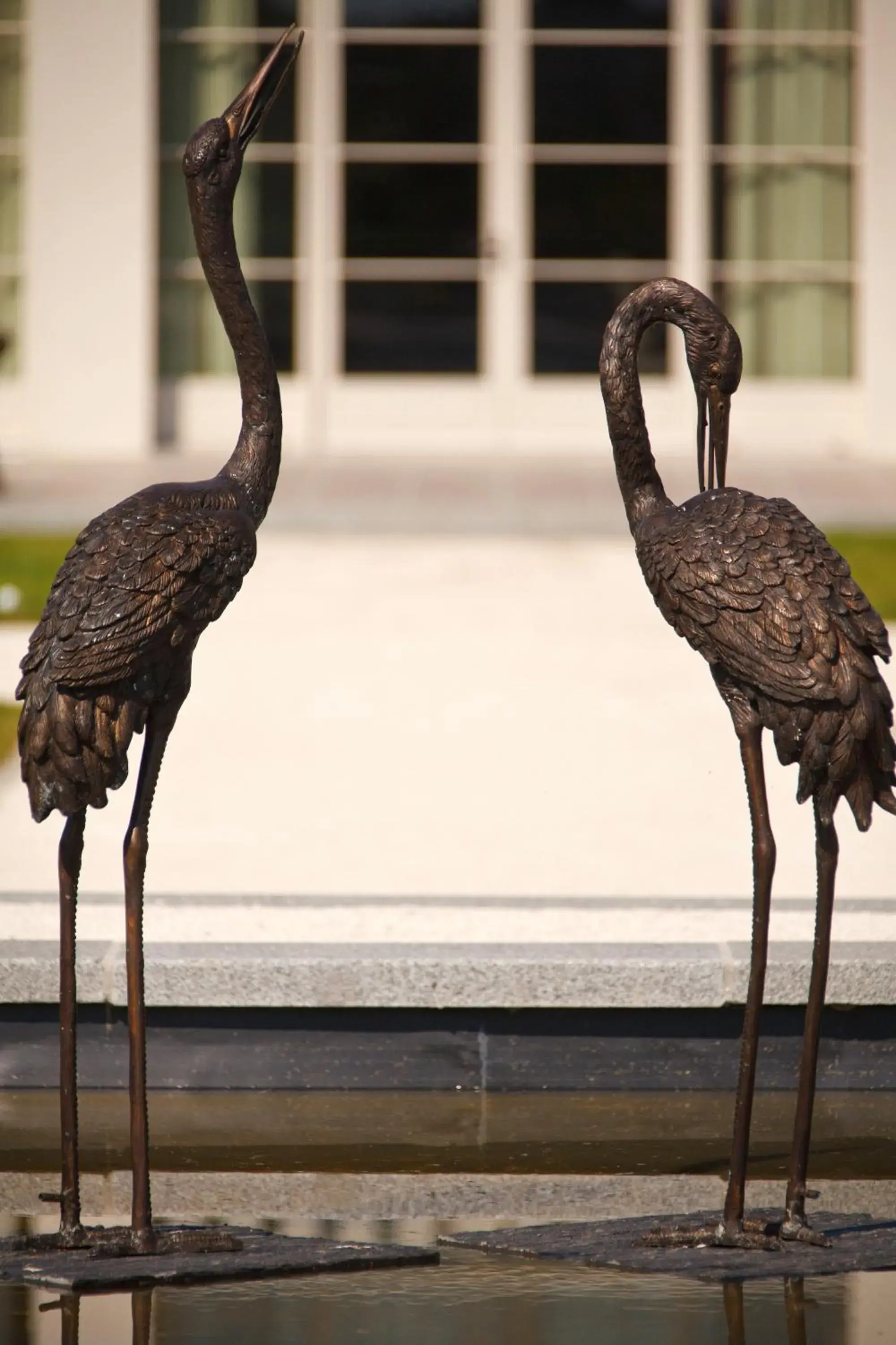 Garden view, Other Animals in La Ramade