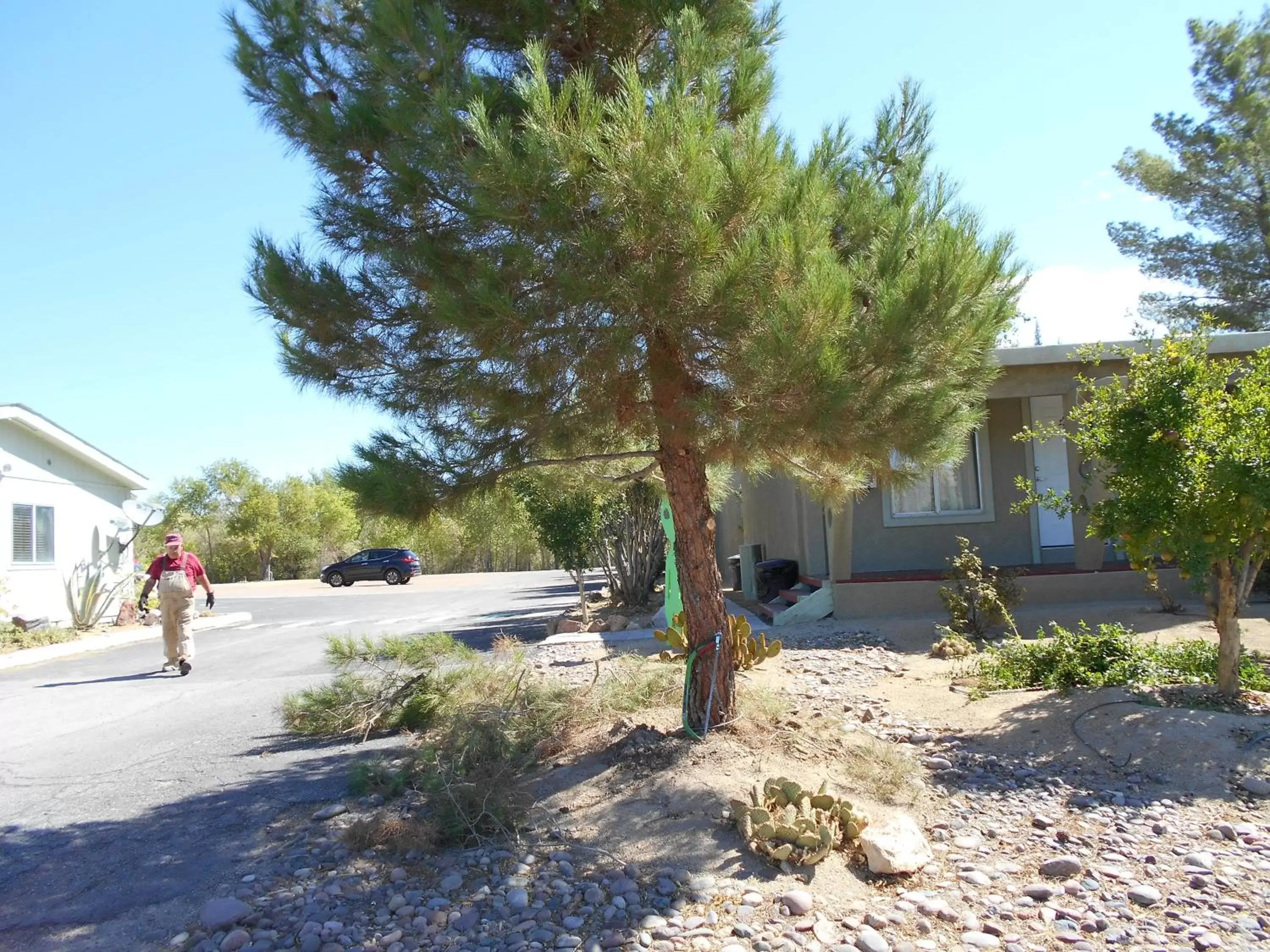 Other, Guests in Atomic Inn Beatty Near Death Valley