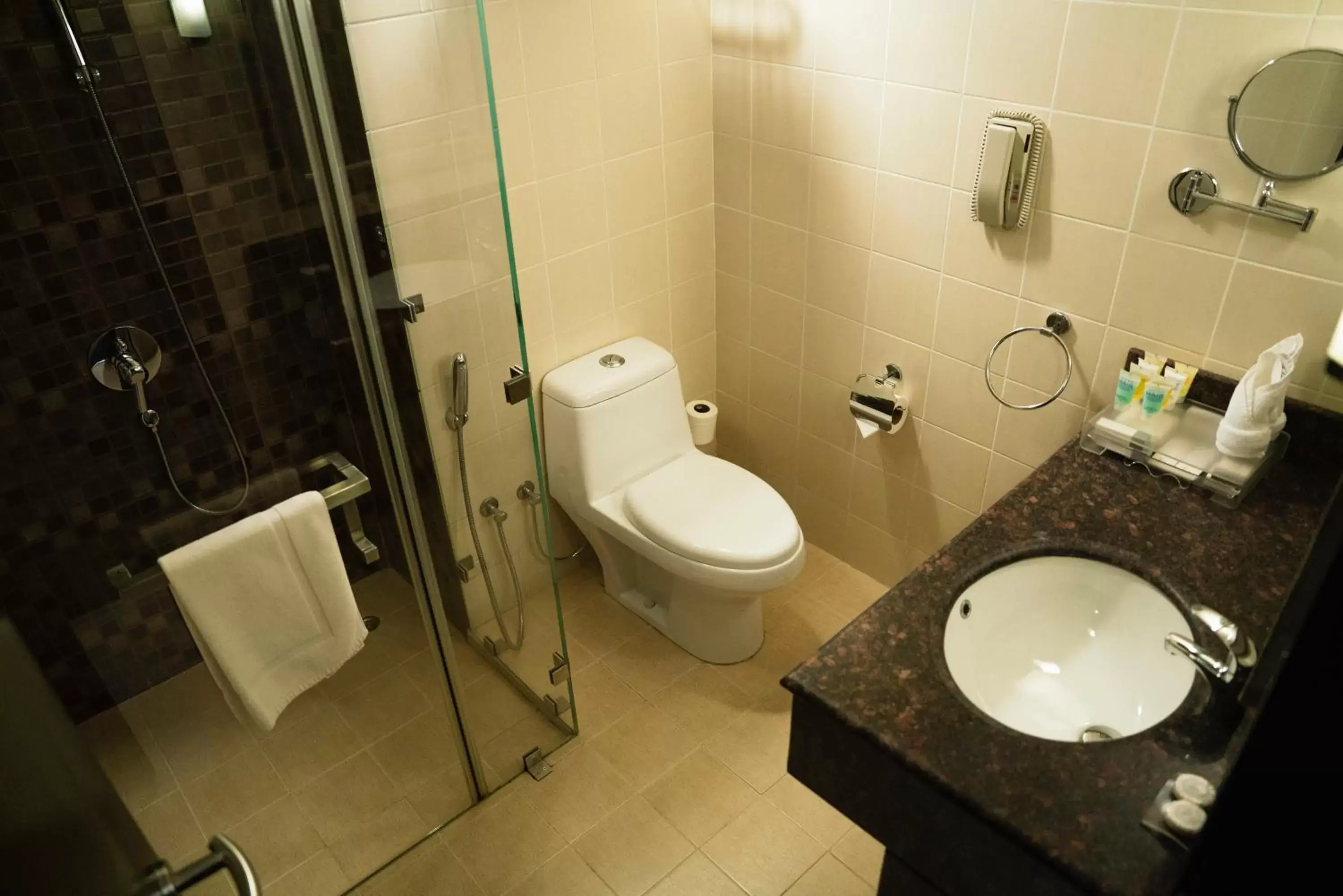 Bathroom in Best Western Premier Muscat