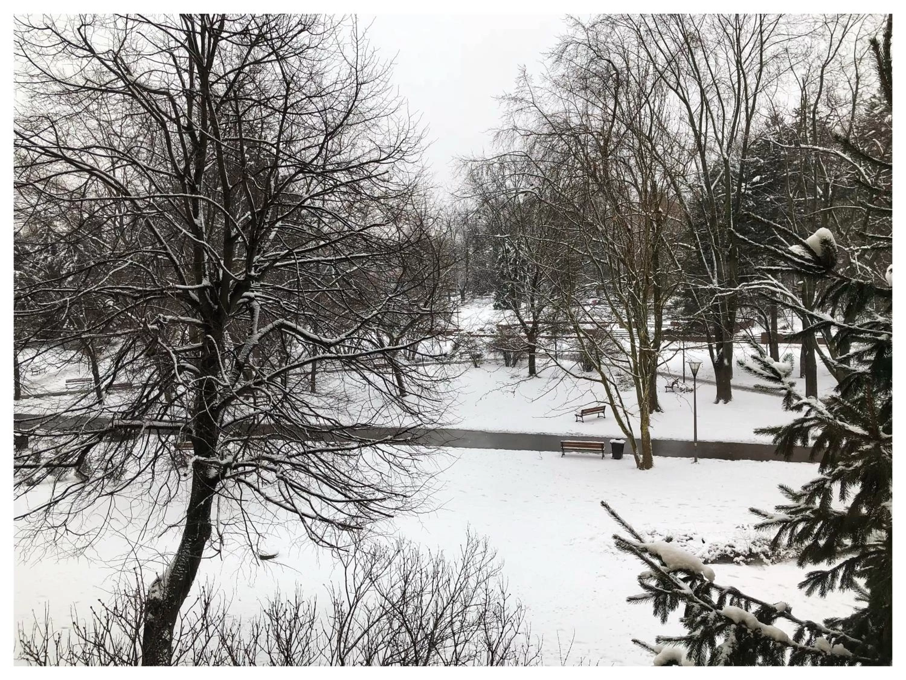 Day in Kwadrat B&B Jałowego