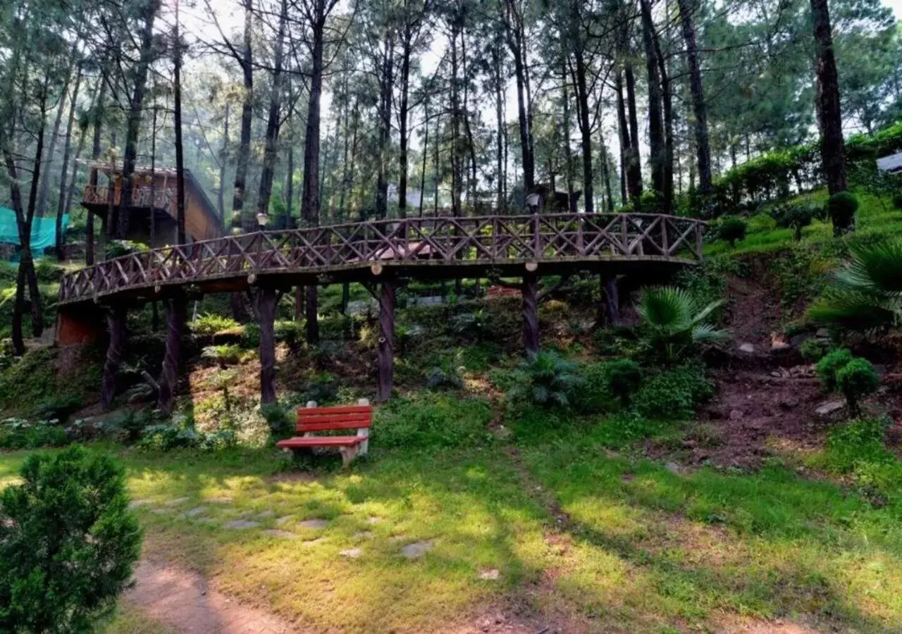 Natural landscape in Kasauli Hills Resort