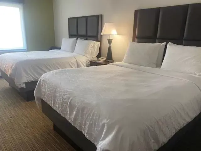 Bed in Holiday Inn Express Hotel & Suites Hinesville, an IHG Hotel