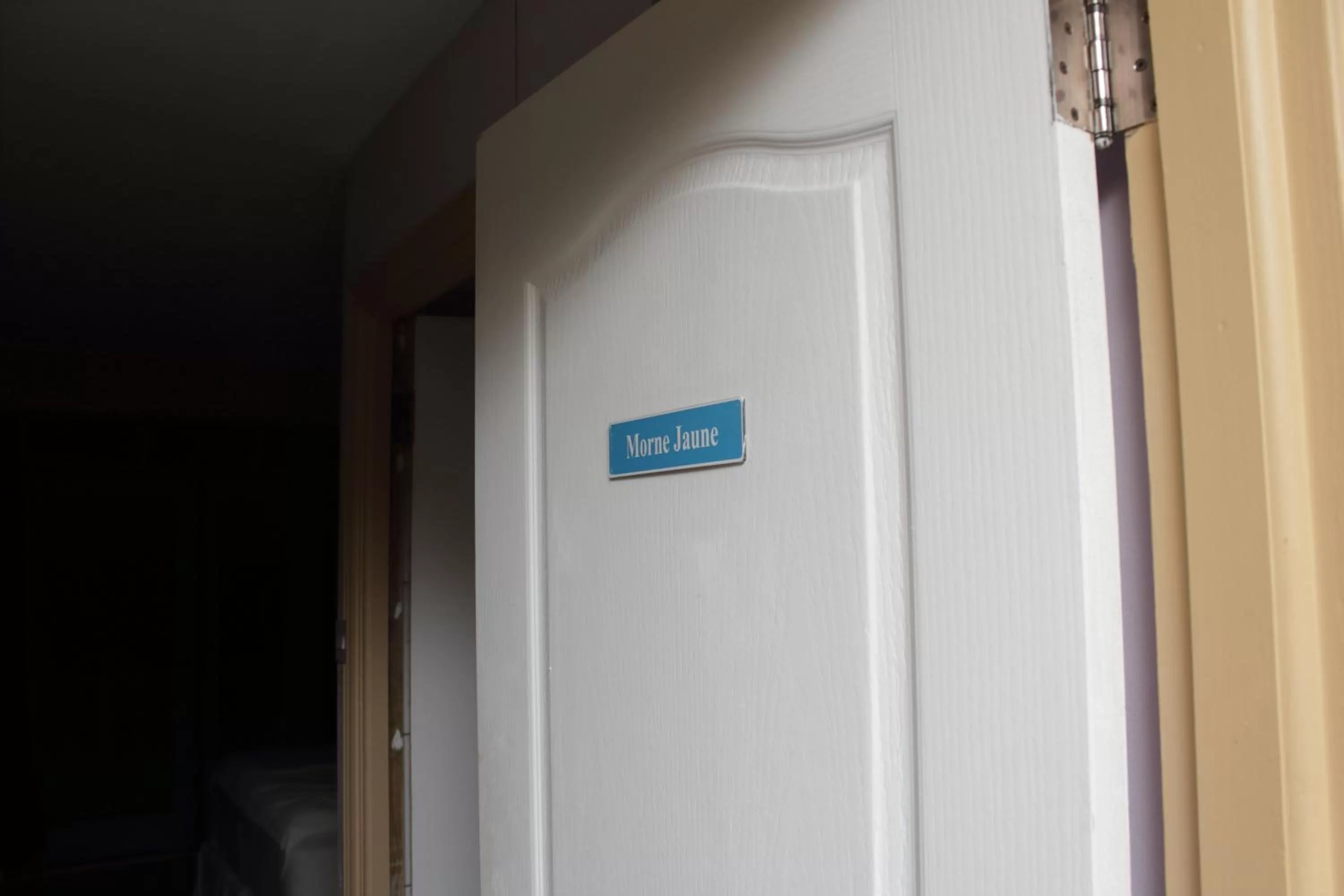 Matthew's Miracle View