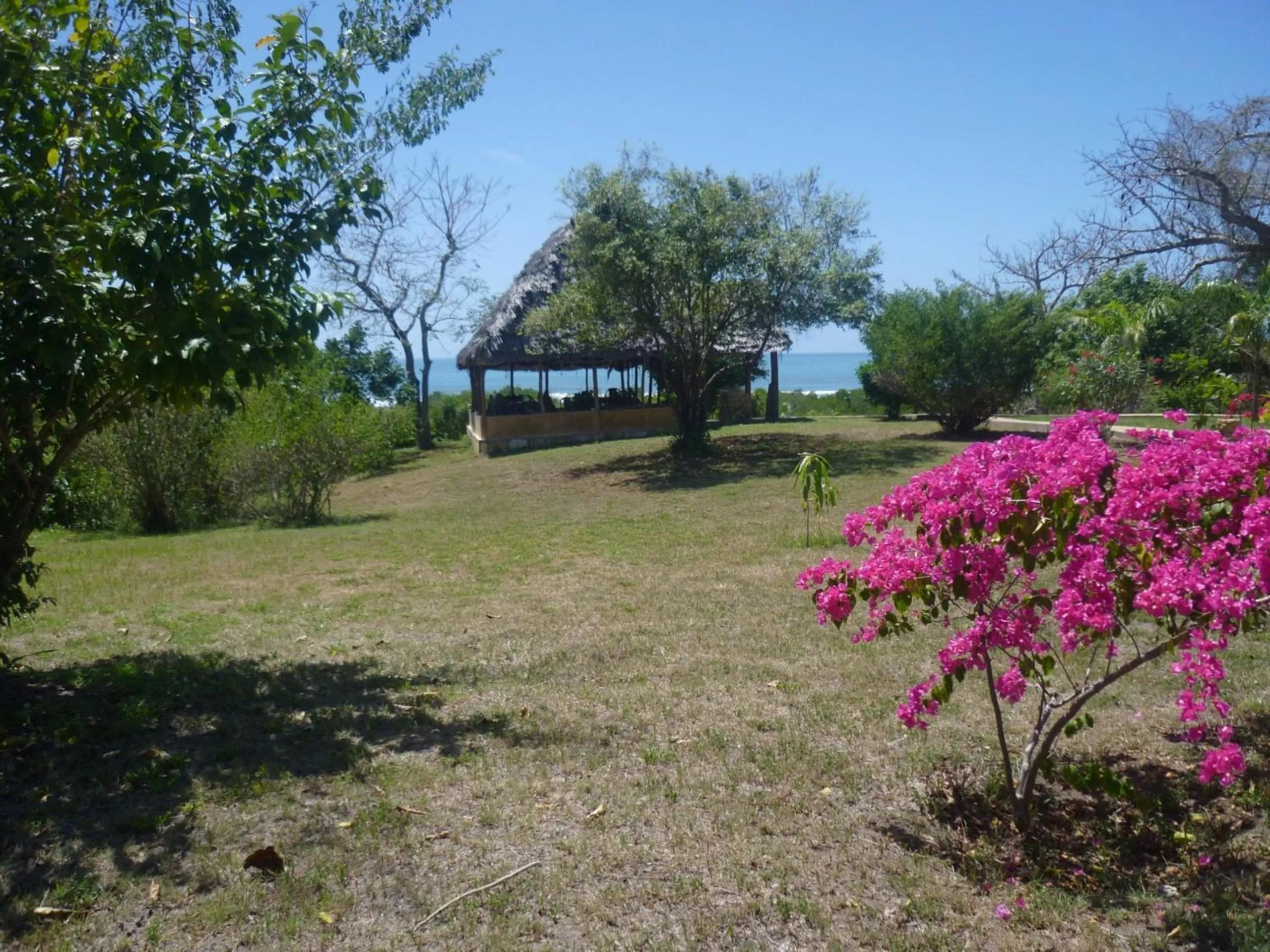 Restaurant/places to eat in Bahari Pori Resort