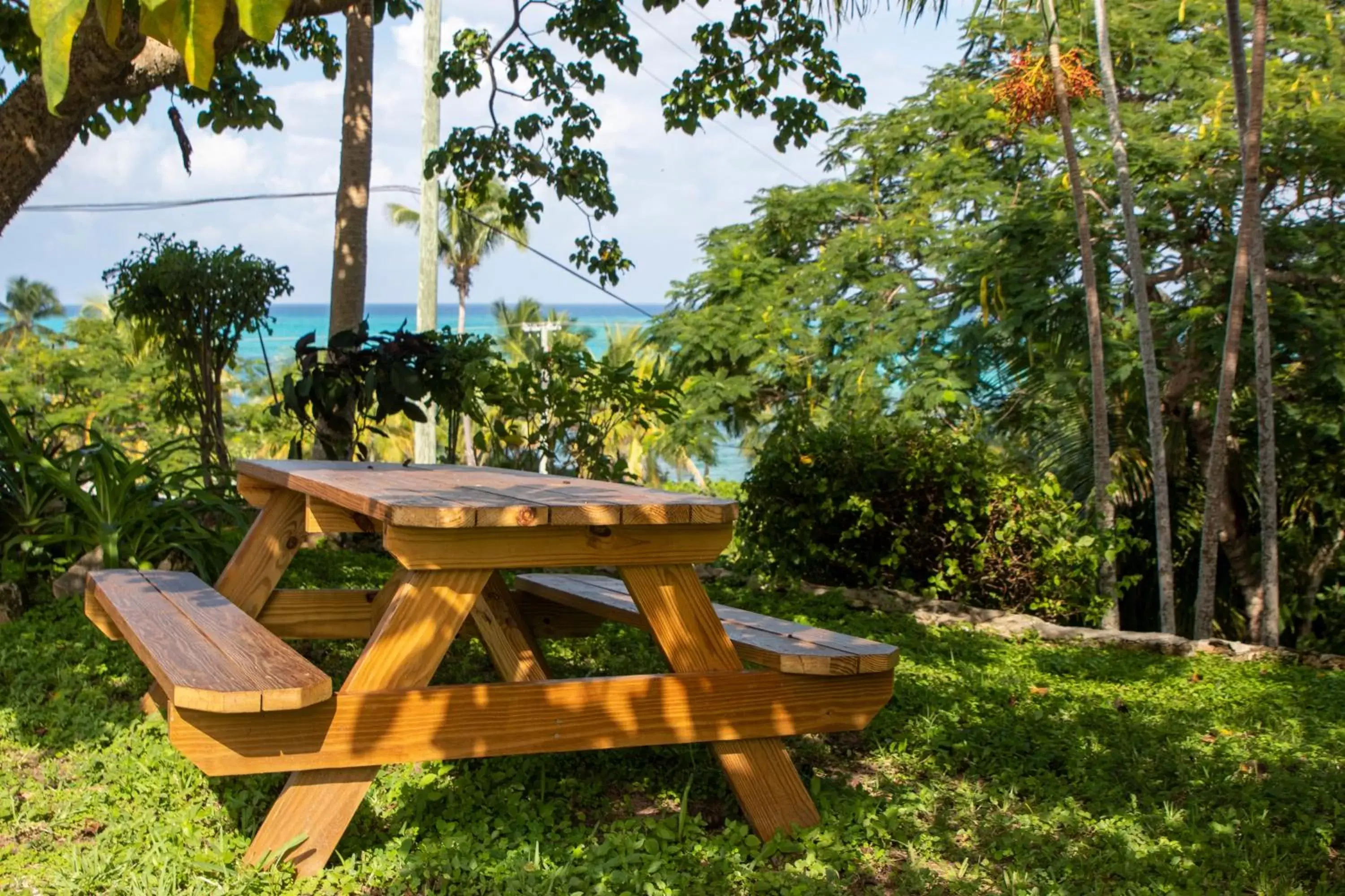 Garden in Orange Hill Beach Inn