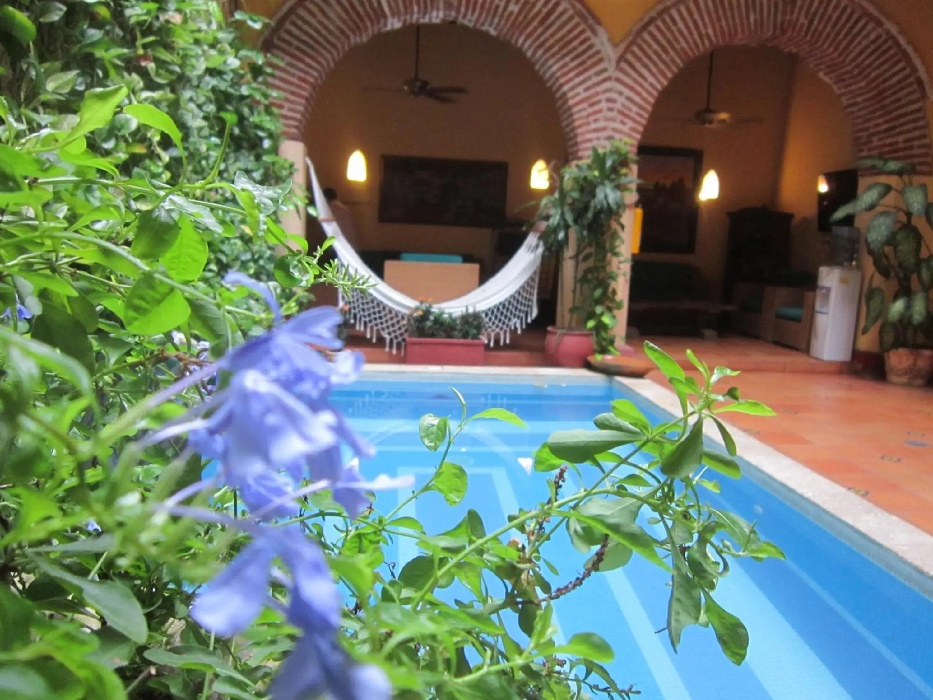 Day, Swimming Pool in Casa India Catalina