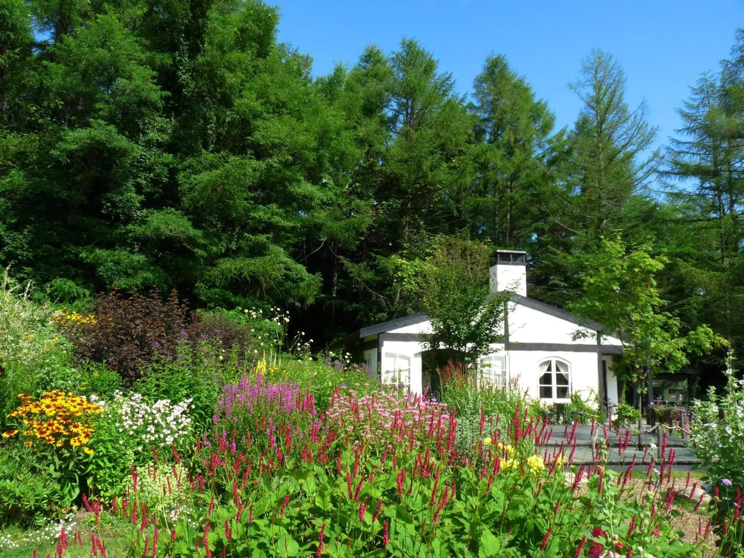 Area and facilities, Property Building in Shin Furano Prince Hotel