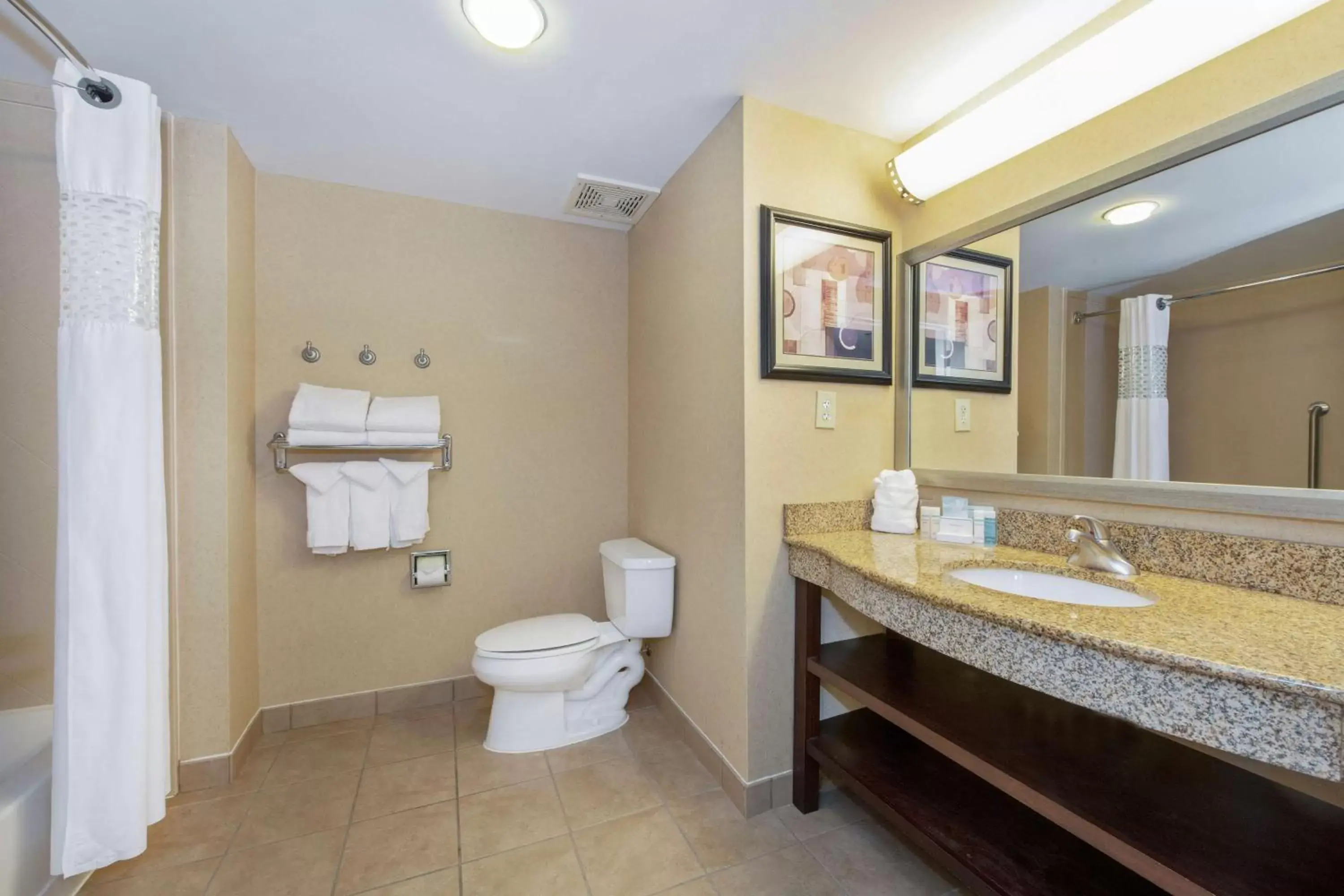 Toilet, Bathroom in Hampton Inn & Suites Burlington