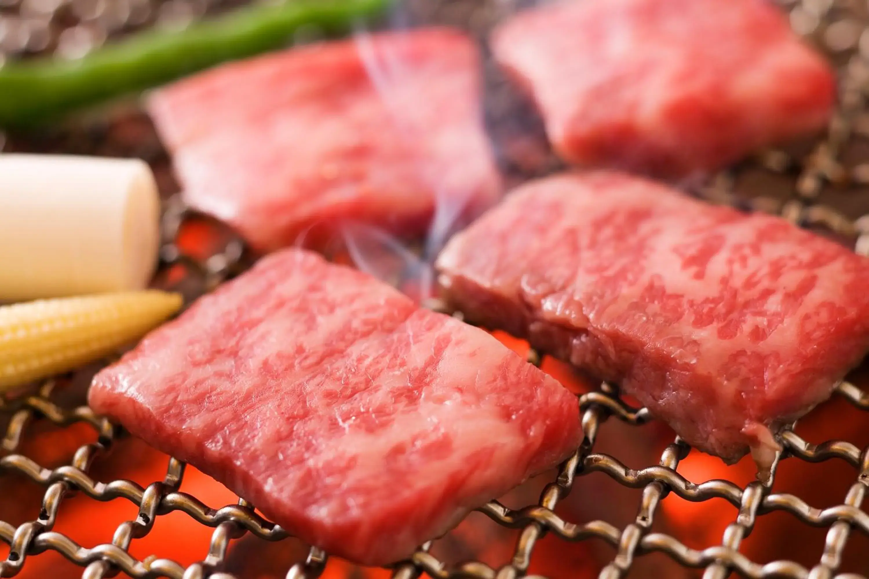 Food in Okuhida Hot spring Miyama Ouan