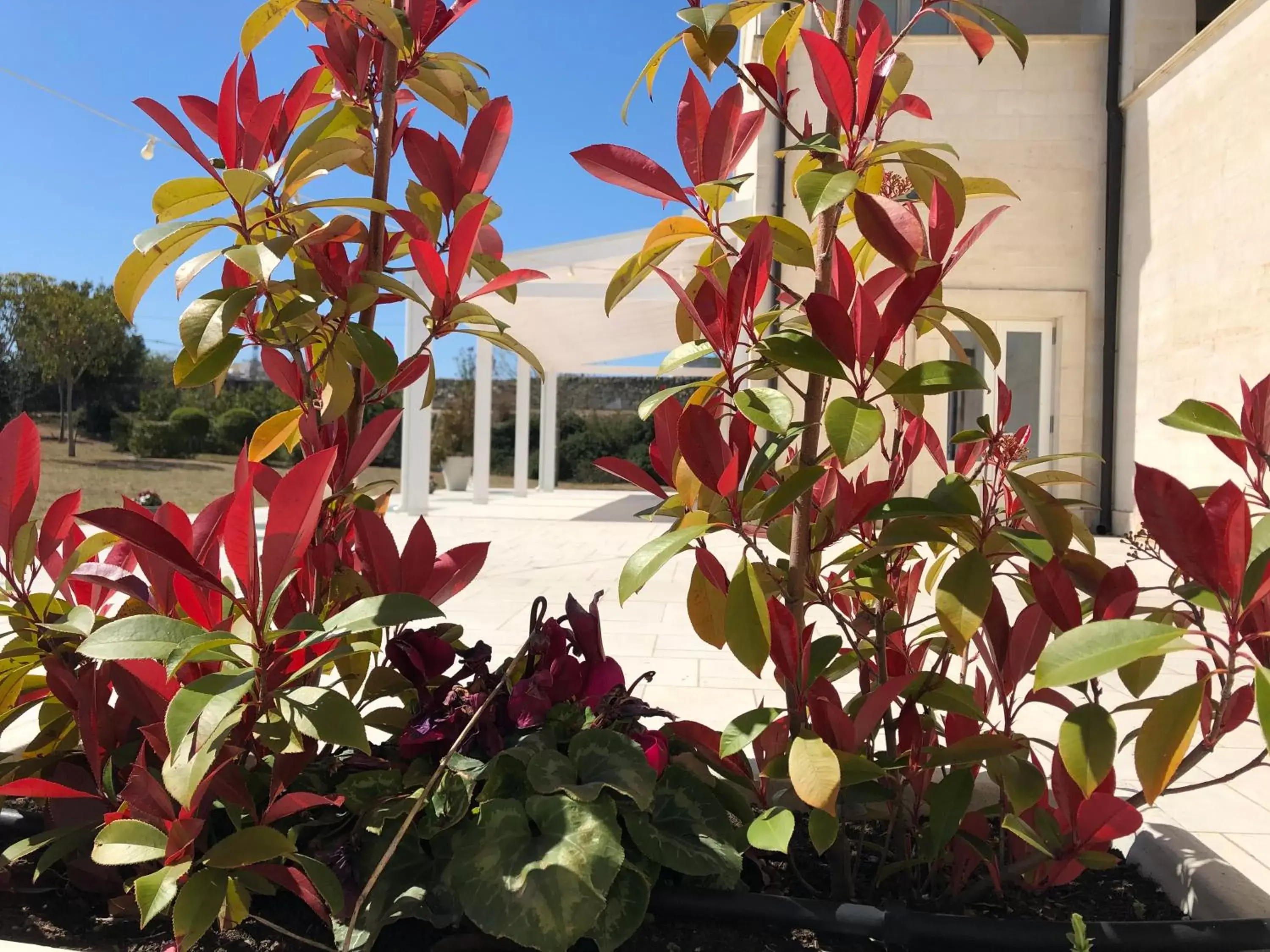 Garden in Hotel Cave Del Sole