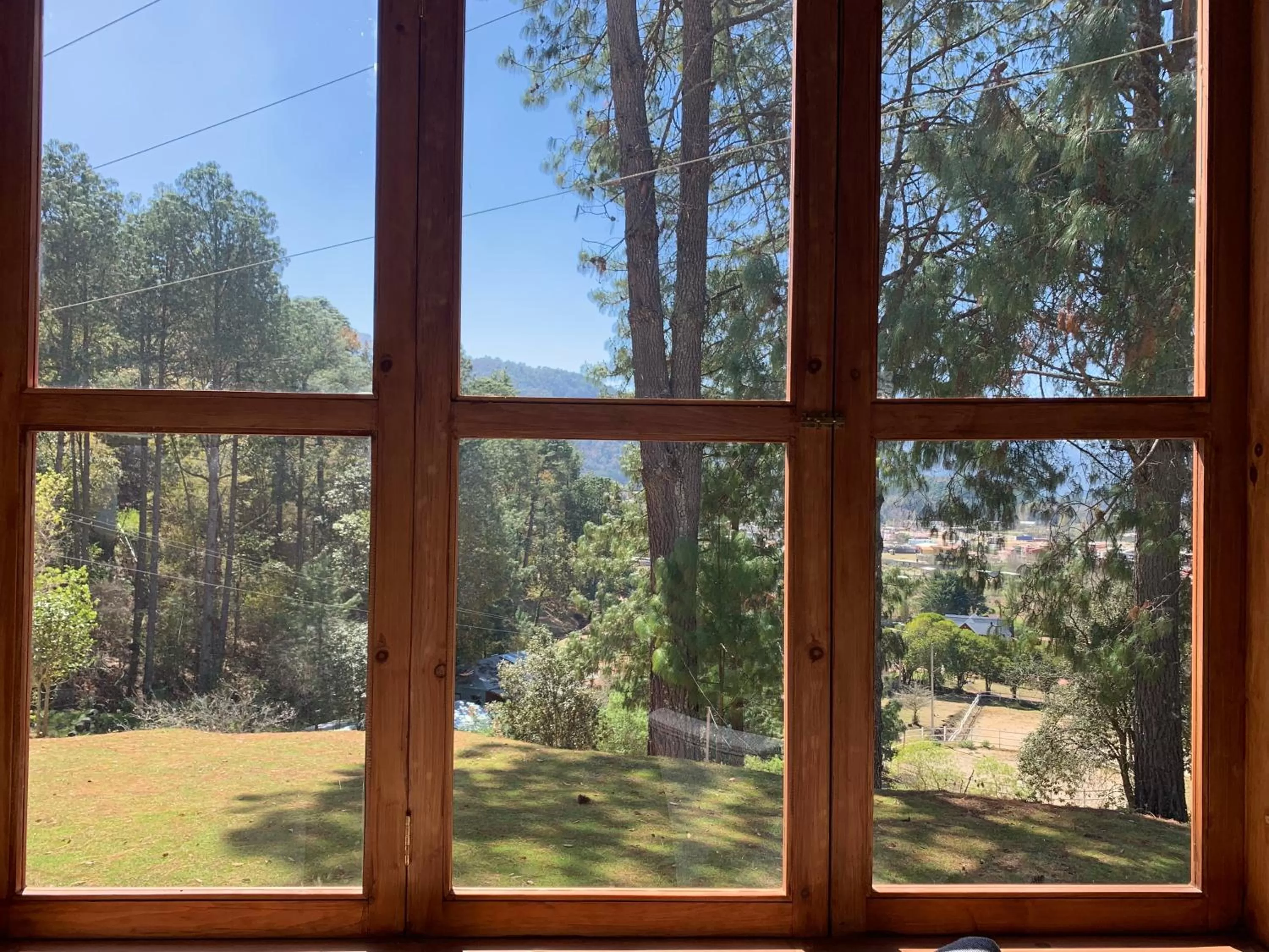 Garden view in CORTIJO LA CASONA & Bungalow al Pie de la Montaña
