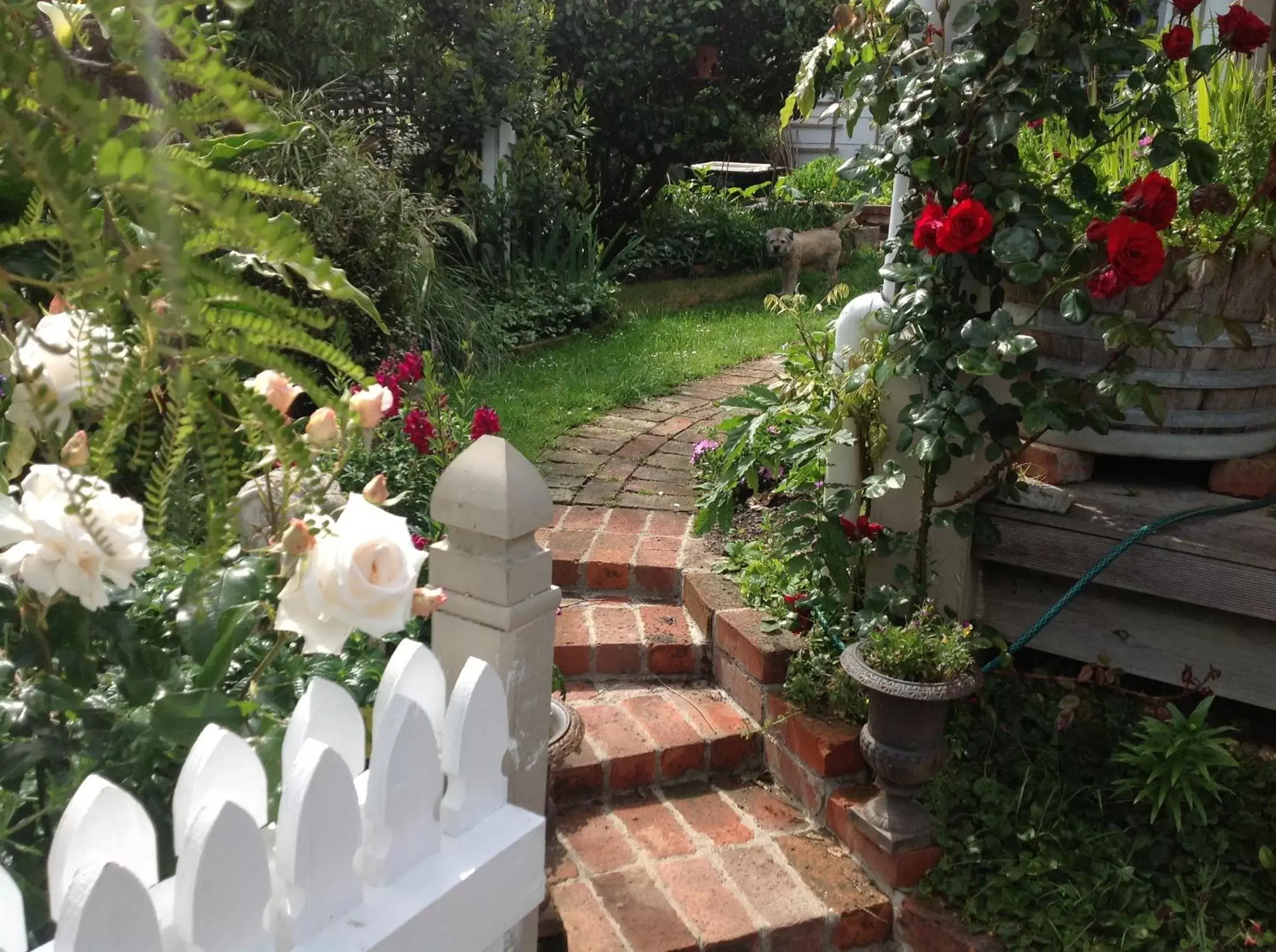 Garden in Kippilaw House